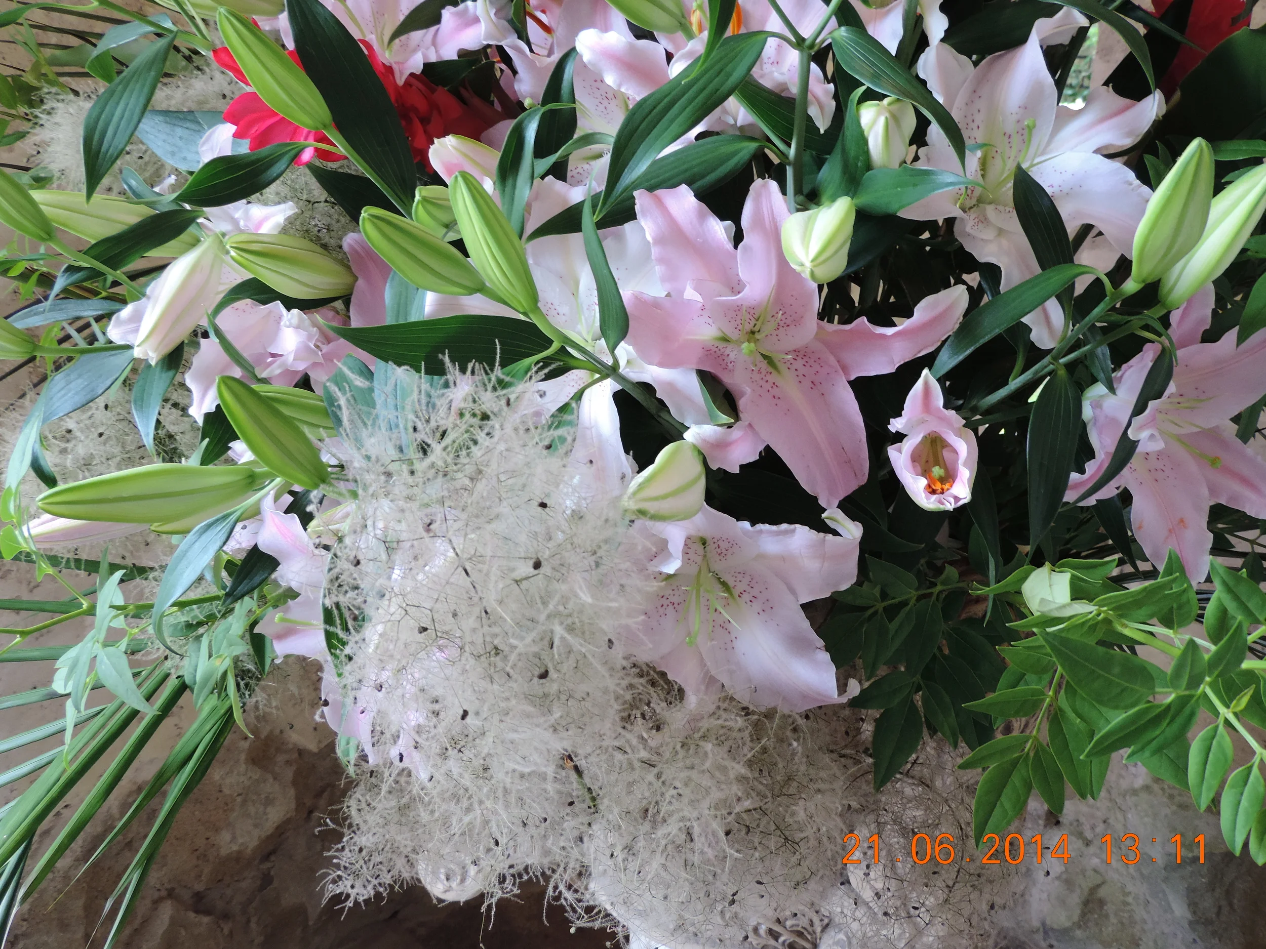 DSCN1400.JPG