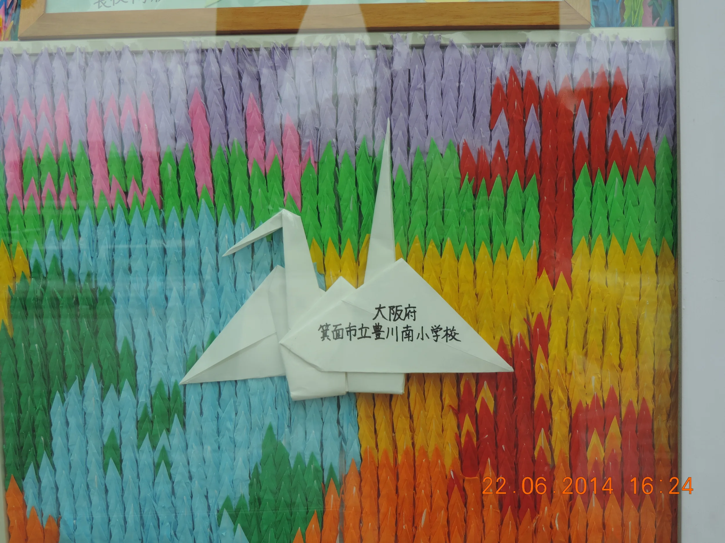 DSCN1582.JPG