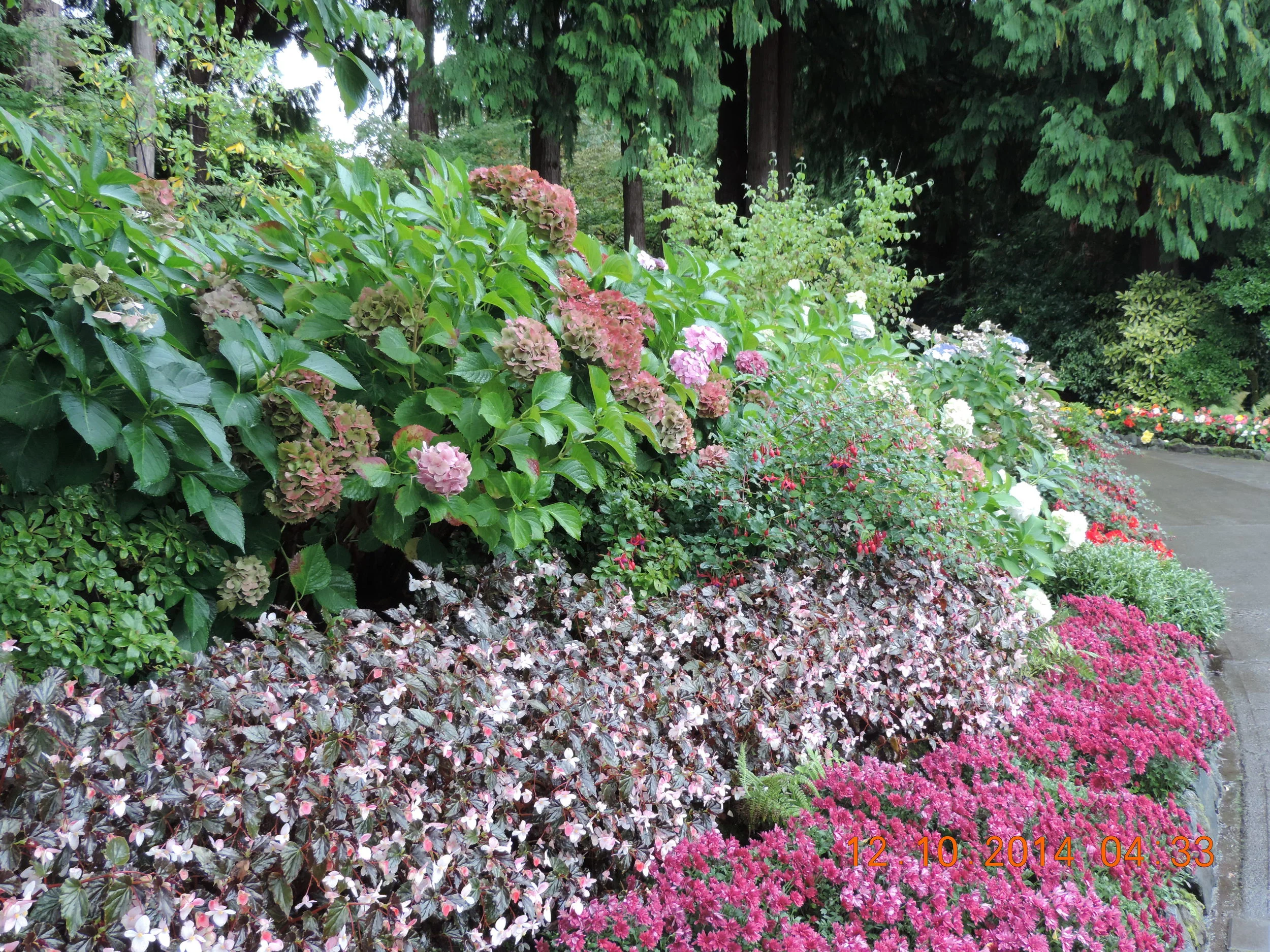 DSCN3178.JPG