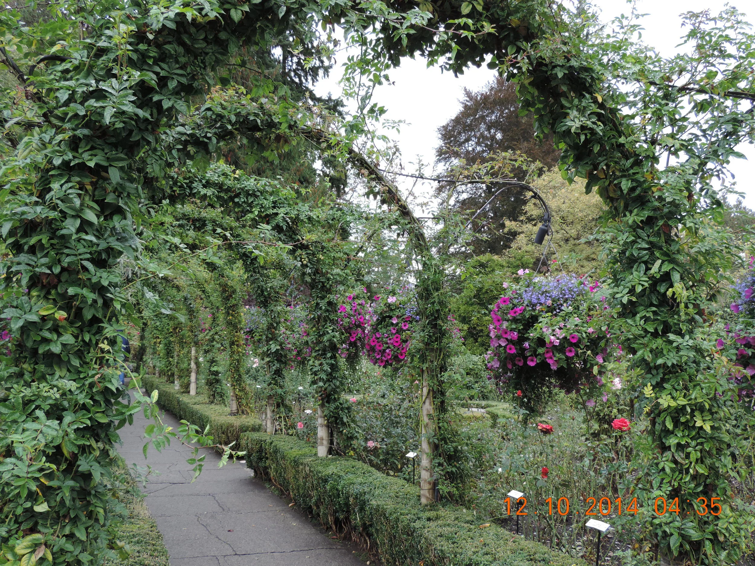 DSCN3185.JPG