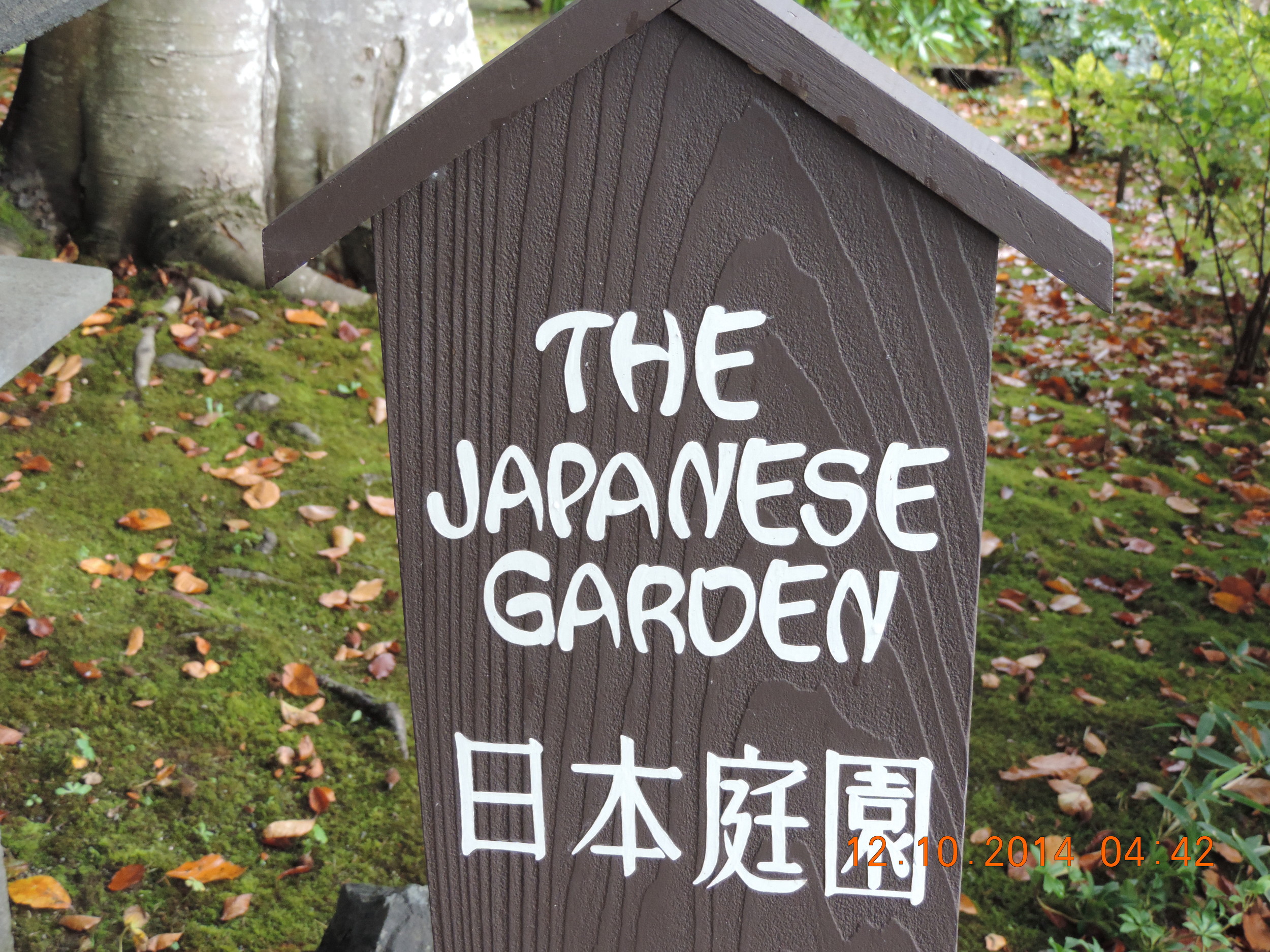 DSCN3202.JPG