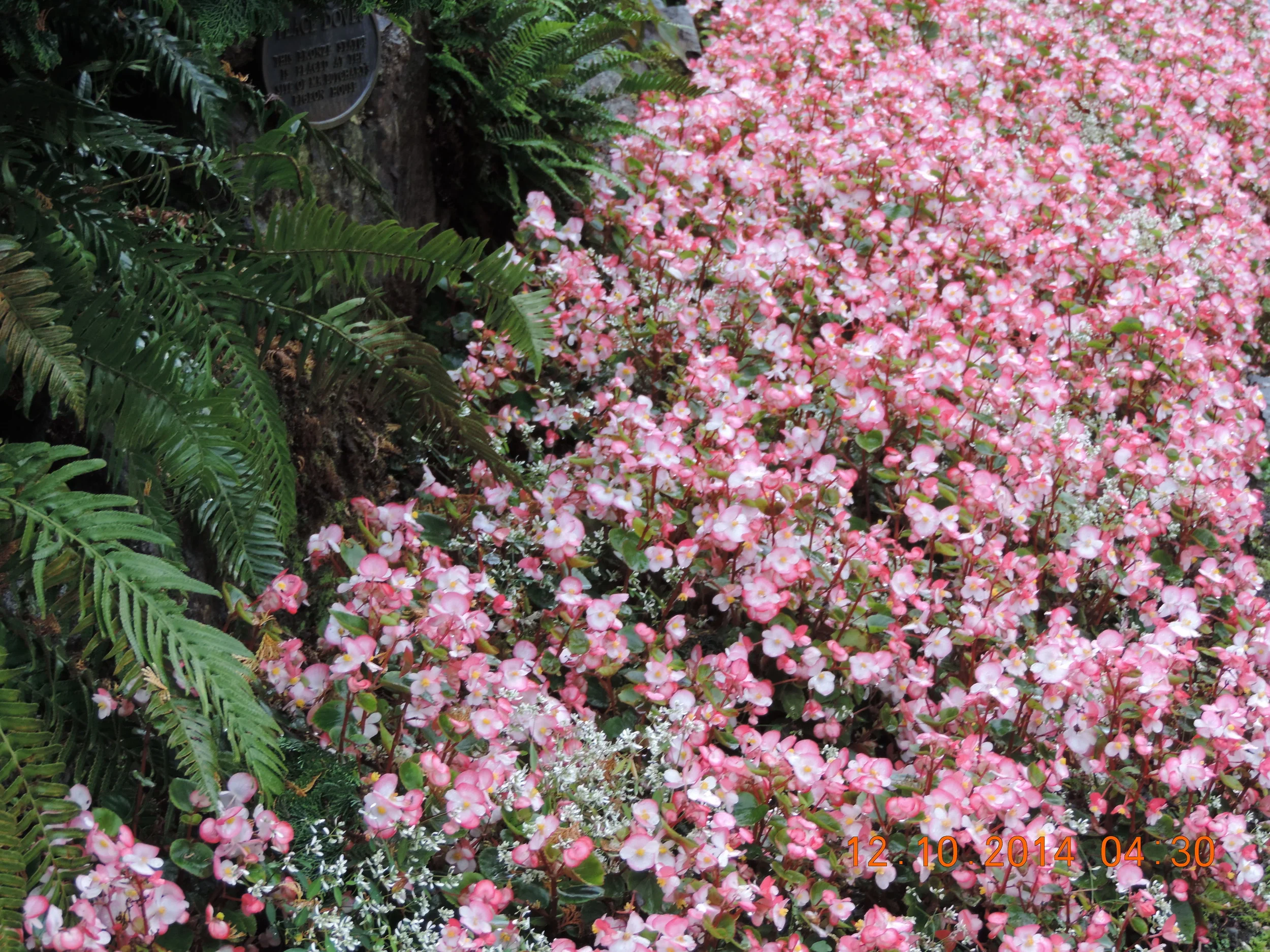 DSCN3170.JPG