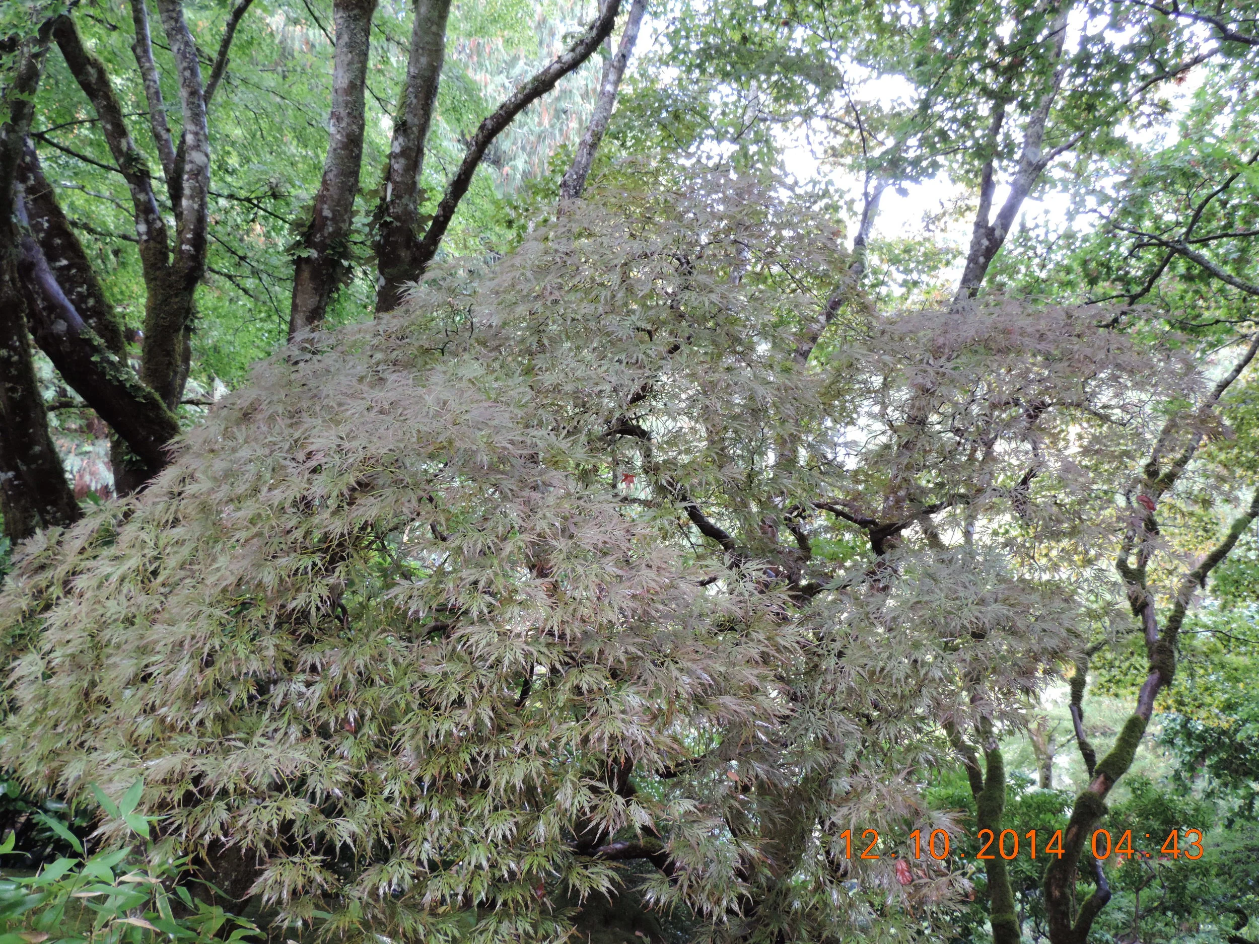DSCN3205.JPG