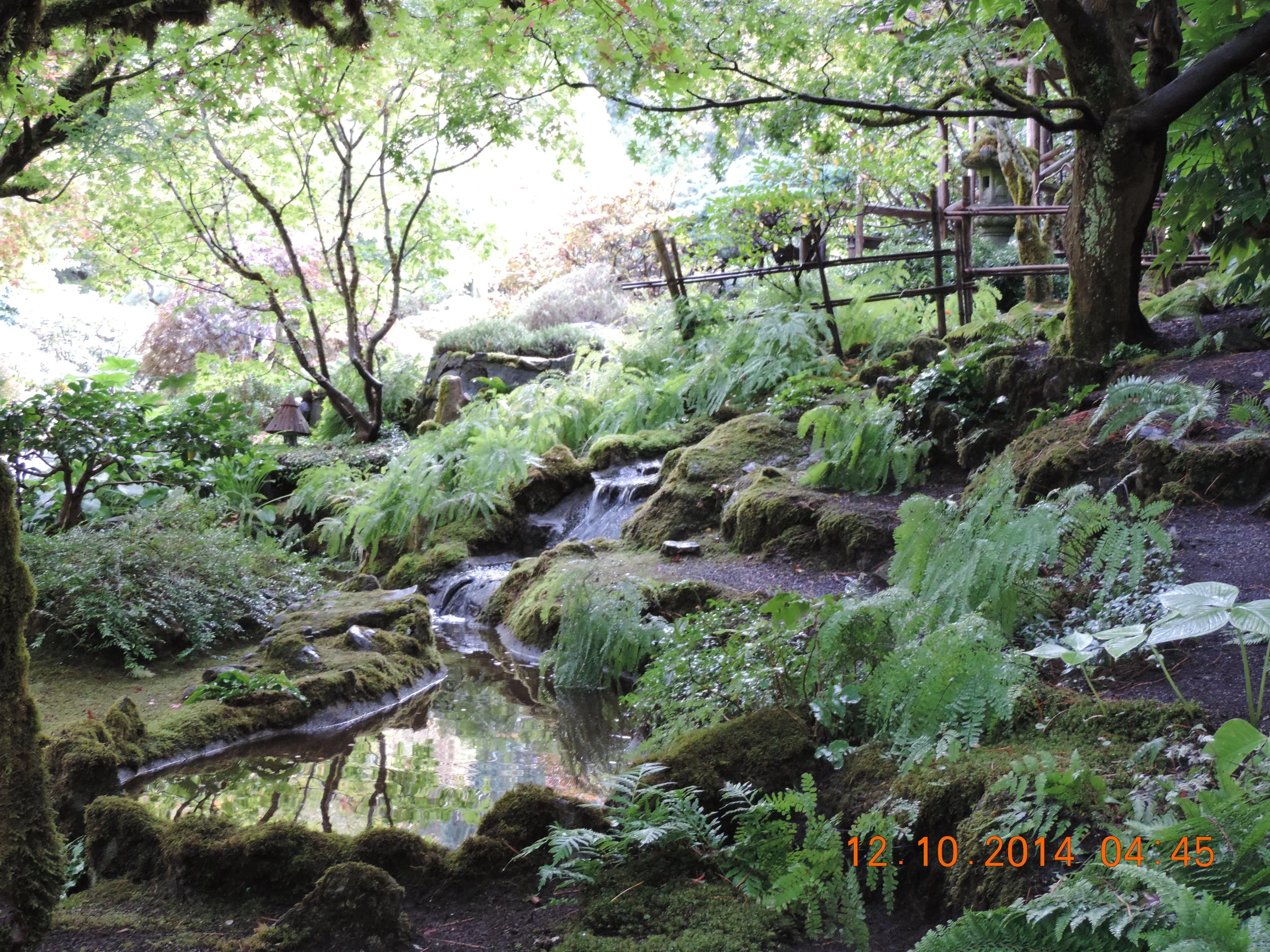 DSCN3207.JPG