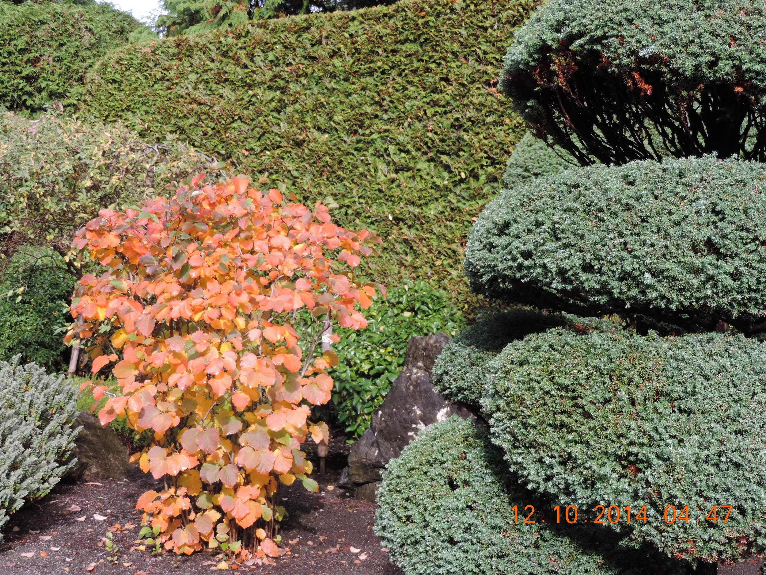 DSCN3215.JPG