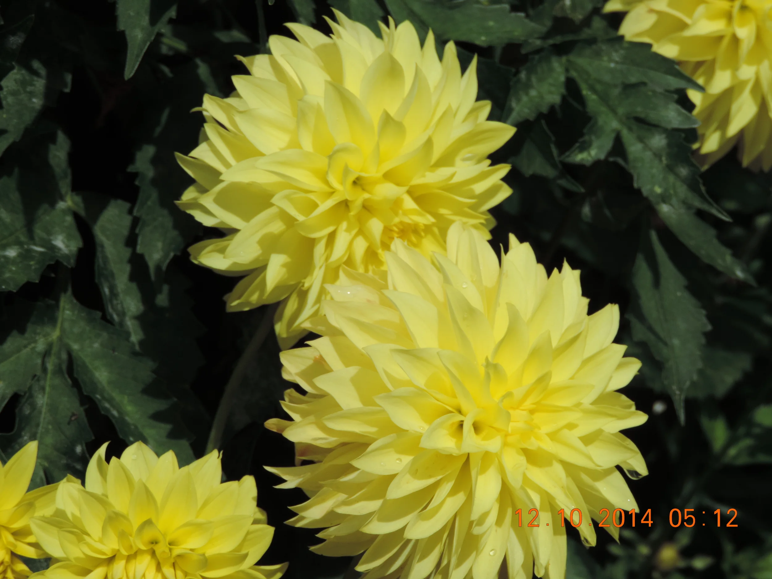 DSCN3271.JPG