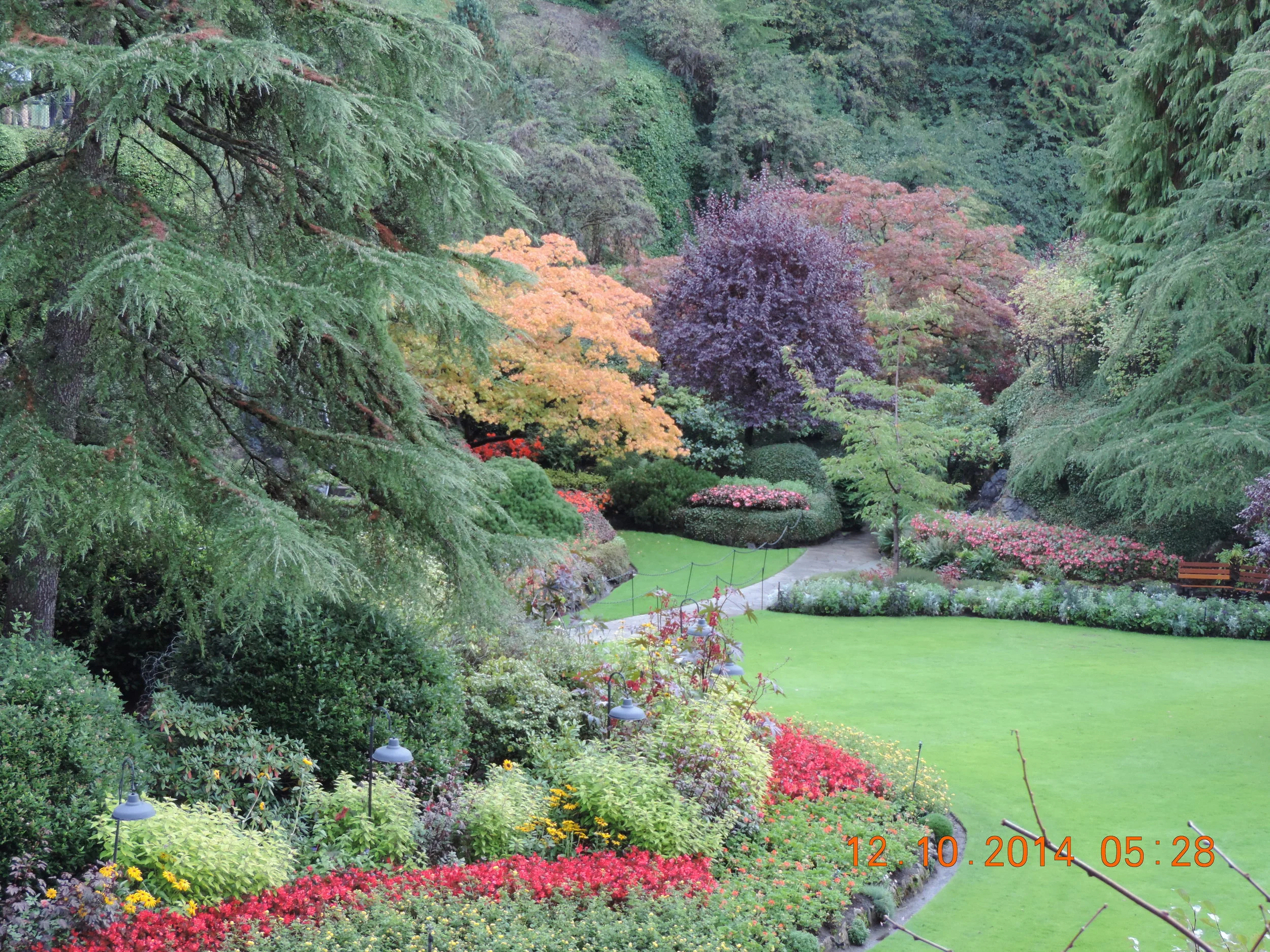 DSCN3321.JPG