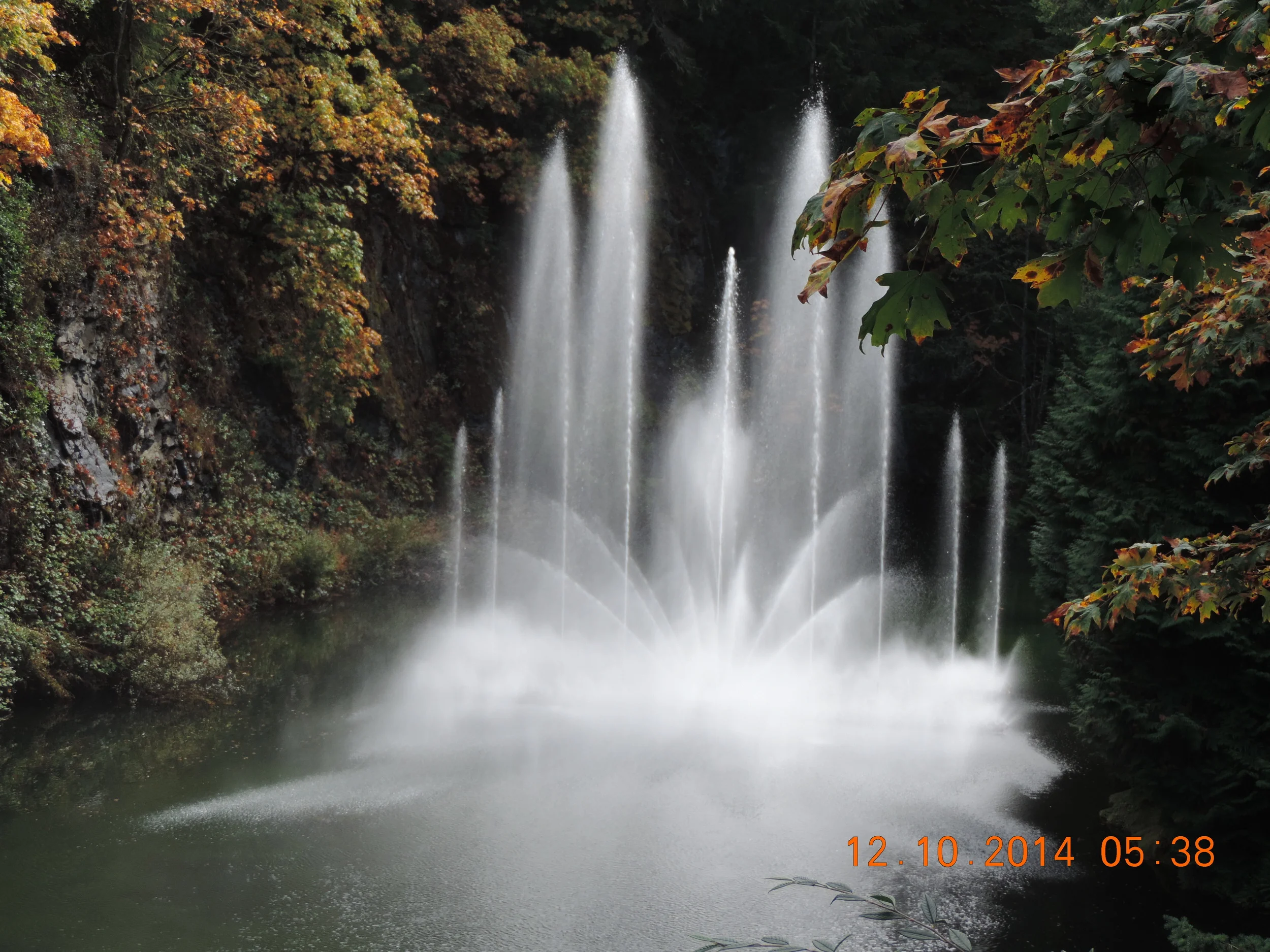 DSCN3349.JPG