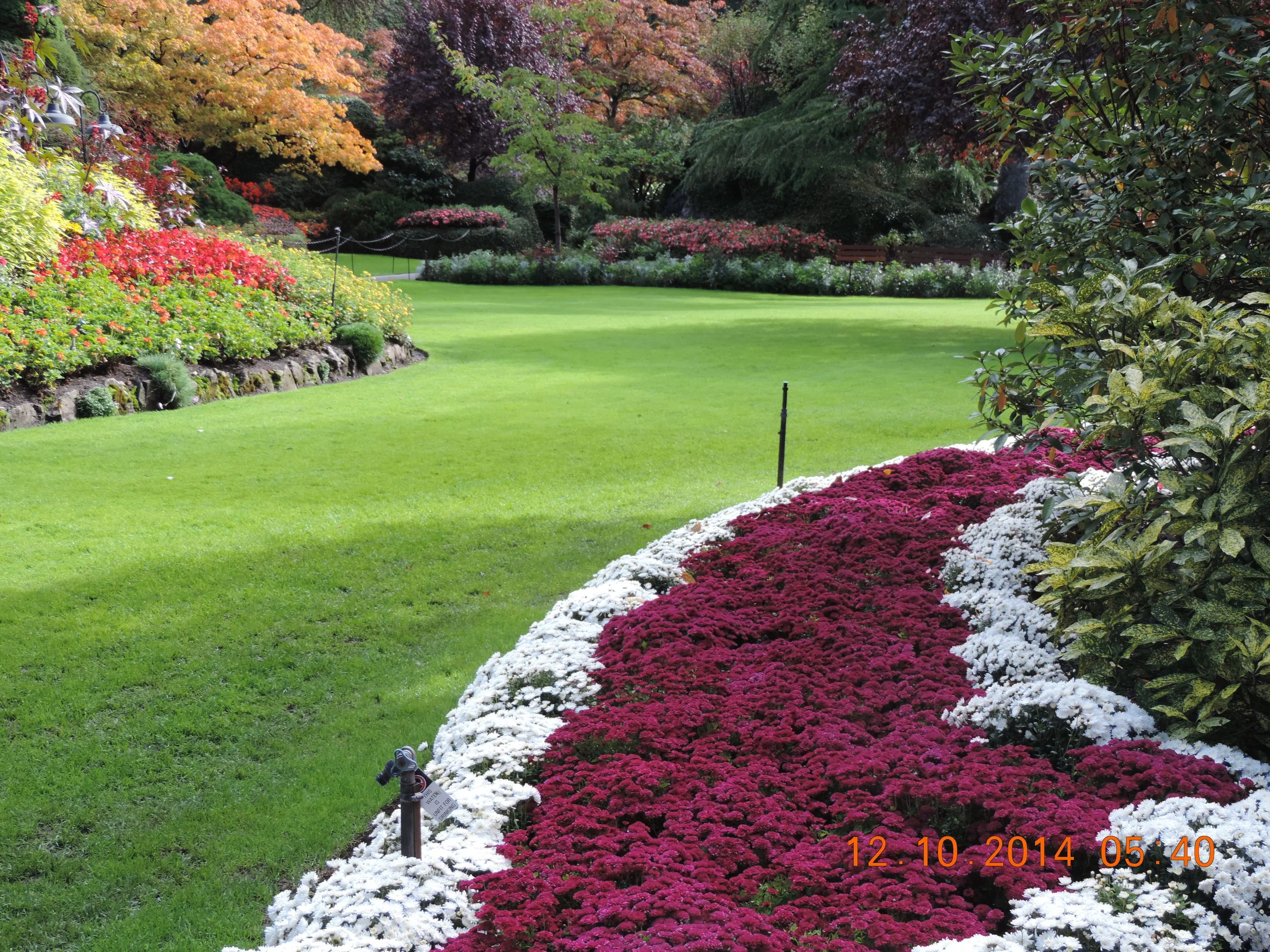 DSCN3356.JPG