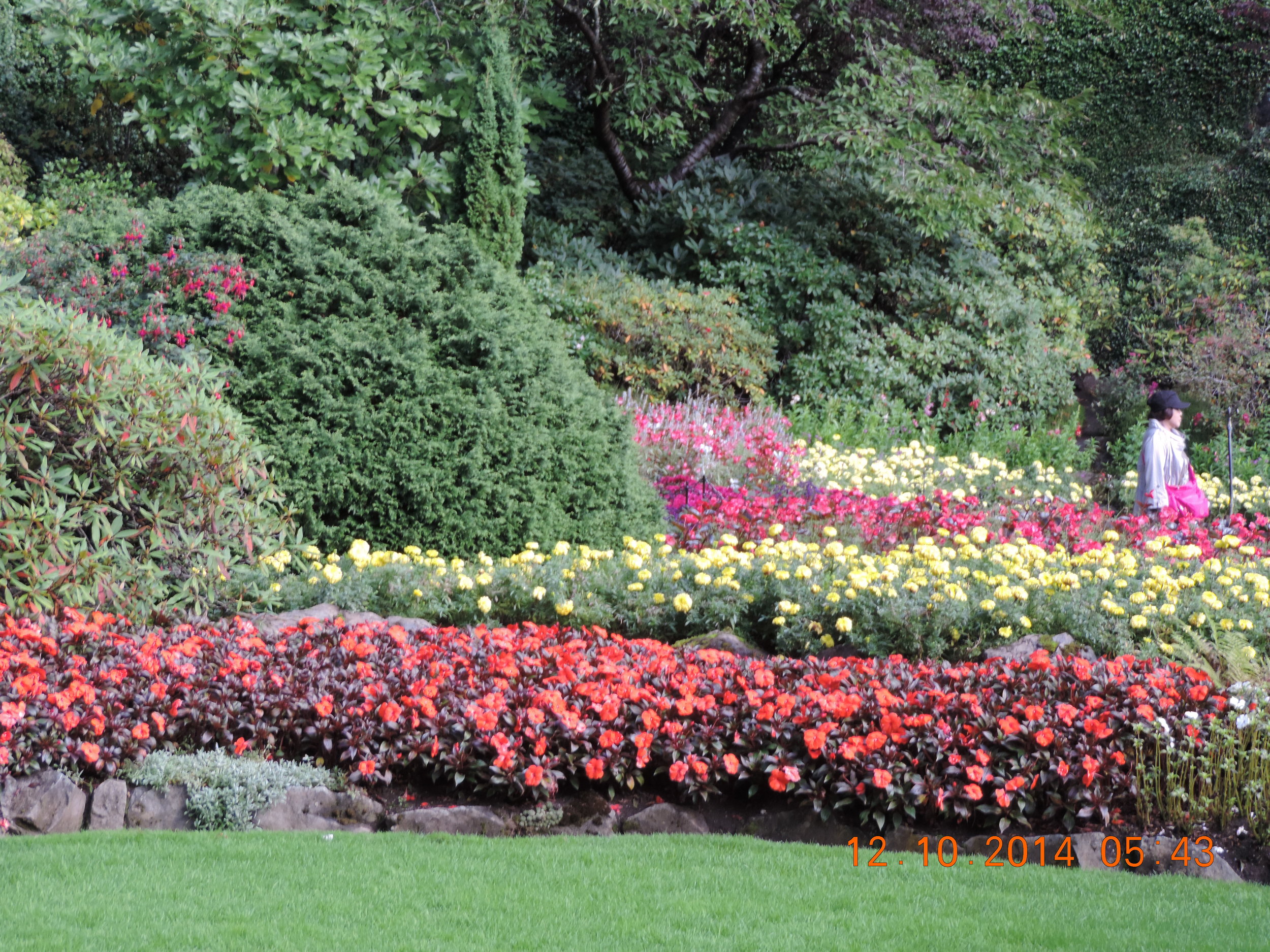 DSCN3362.JPG