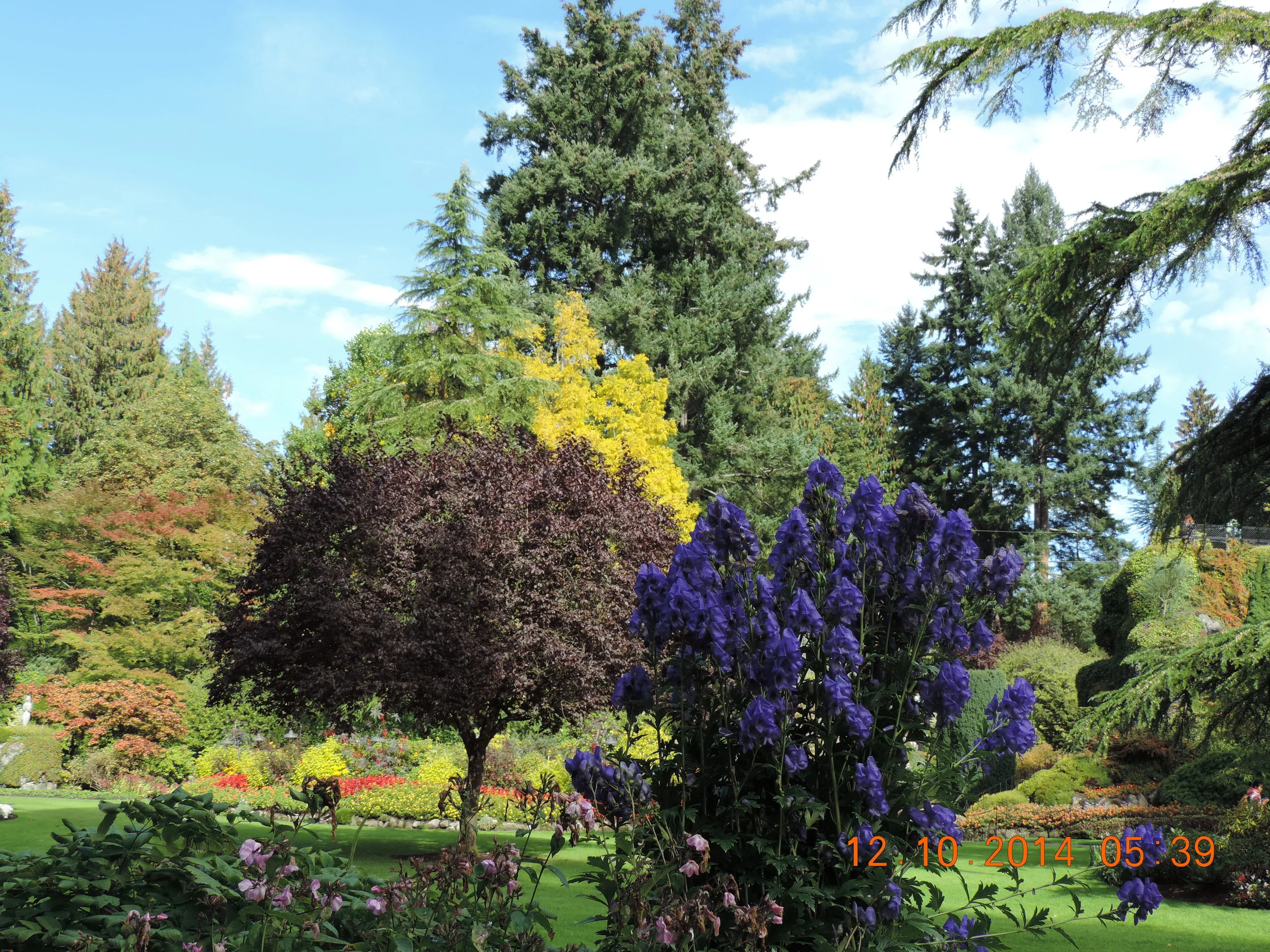 DSCN3353.JPG