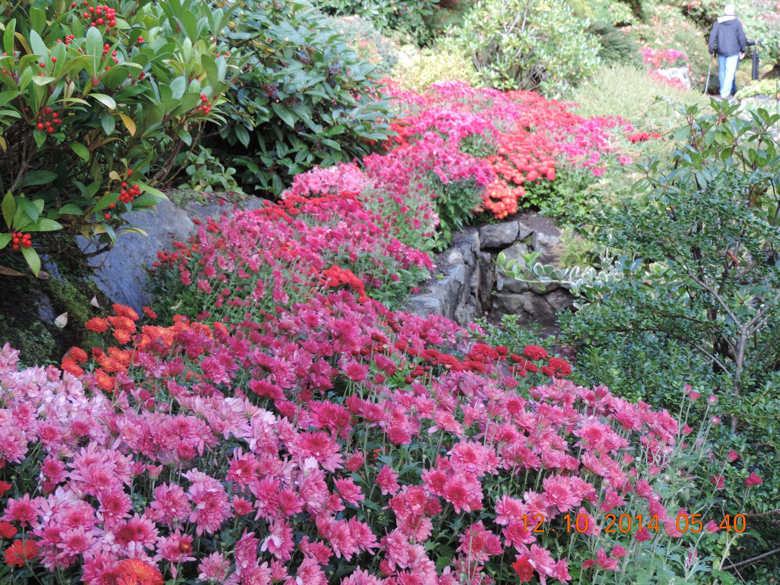 DSCN3355.JPG