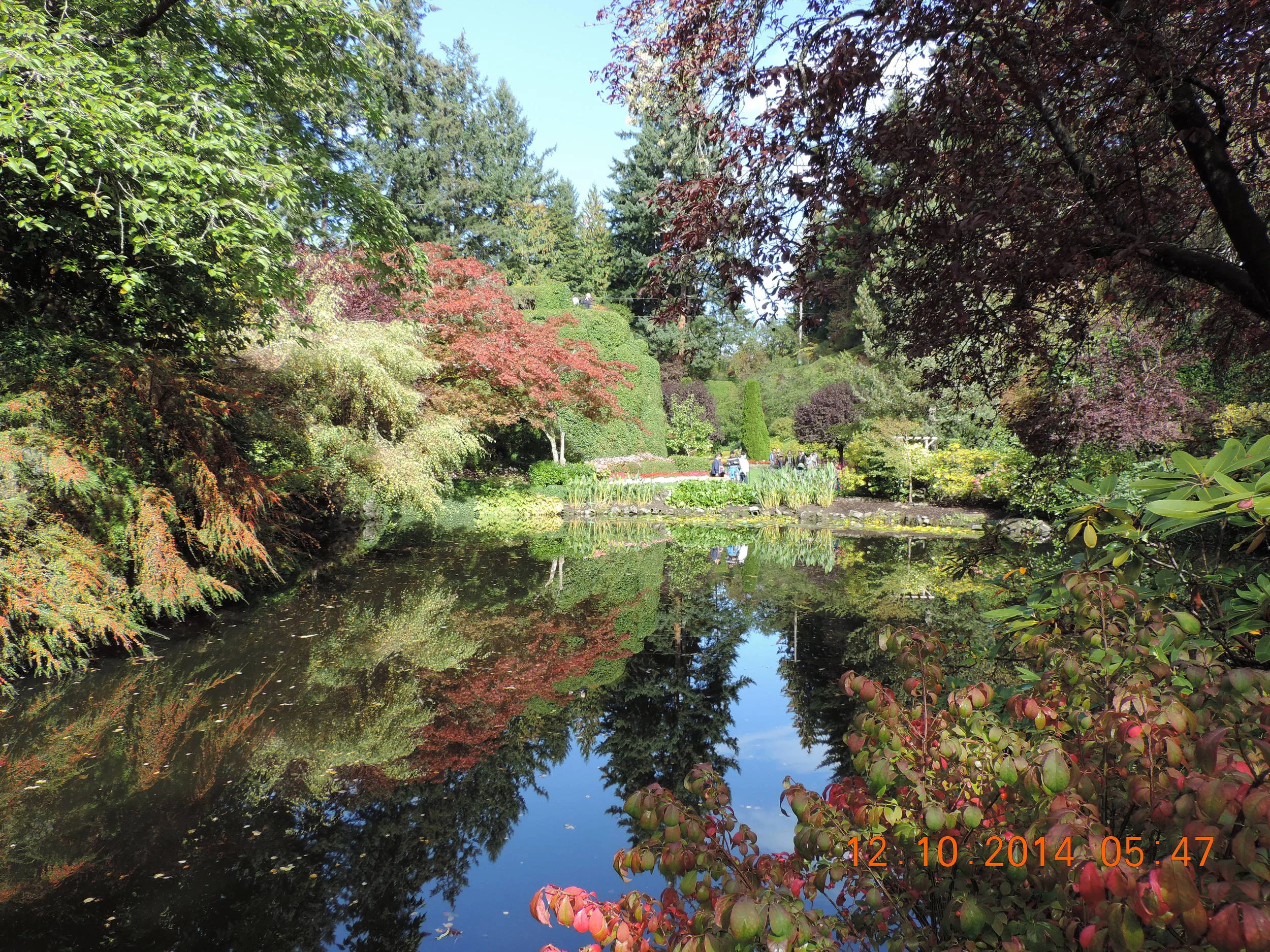 DSCN3379.JPG