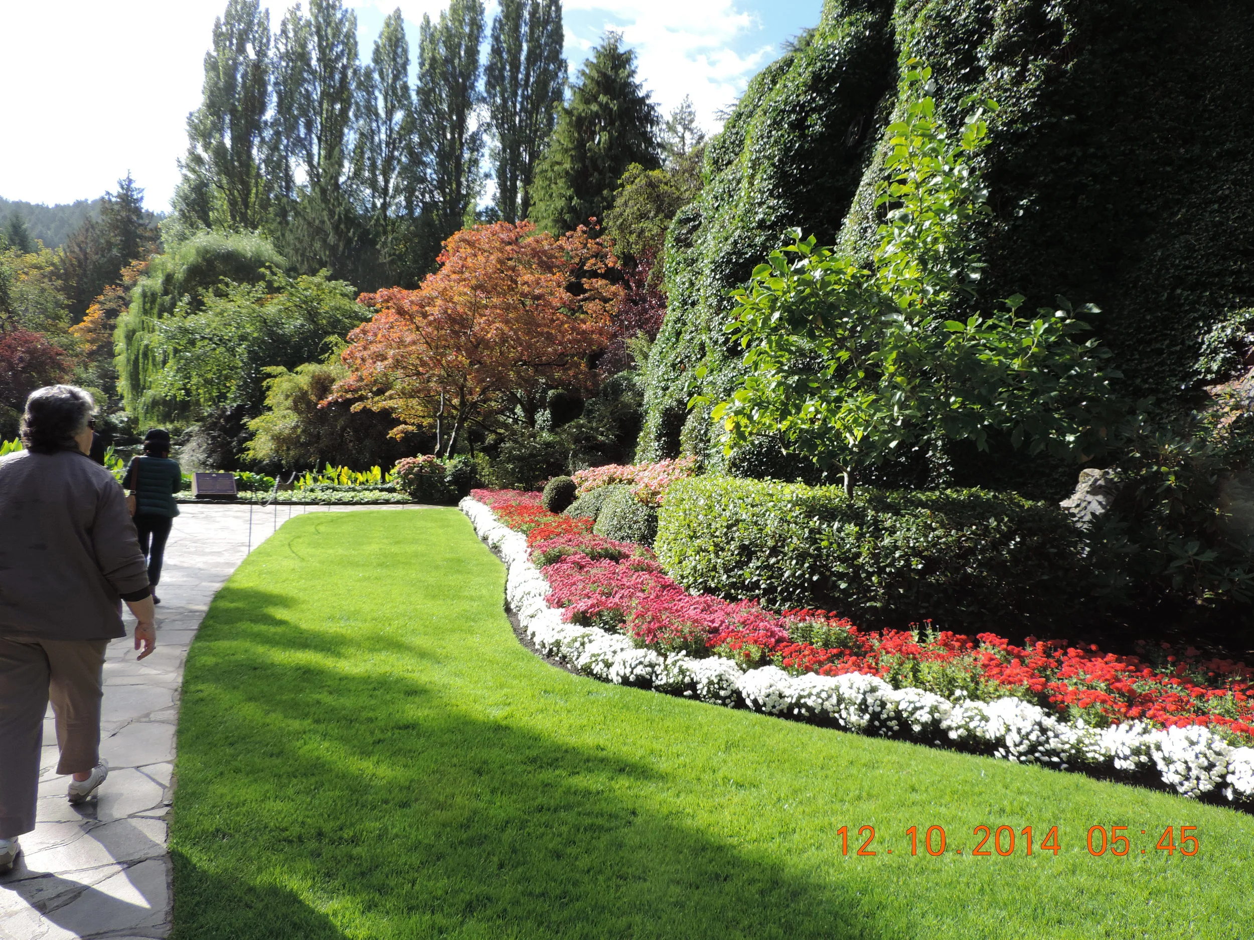 DSCN3371.JPG