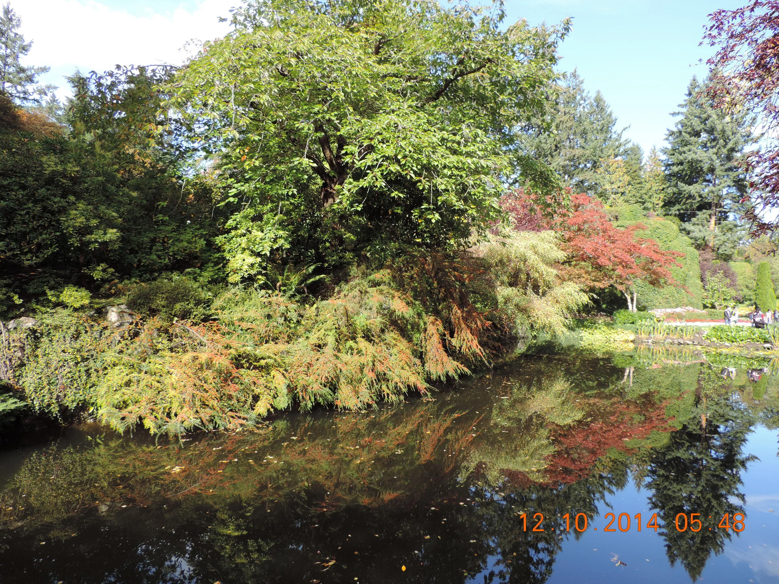 DSCN3382.JPG
