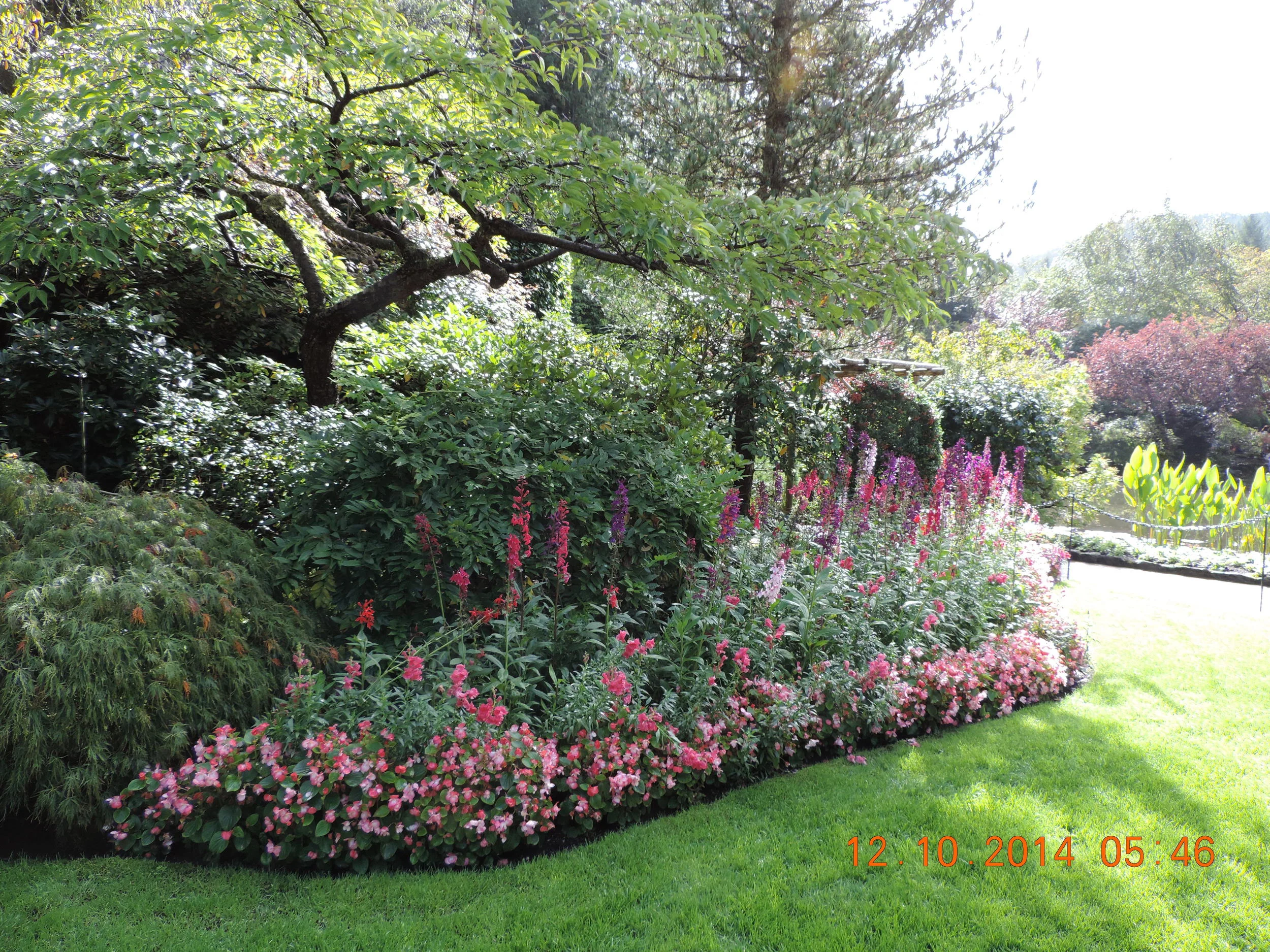 DSCN3372.JPG