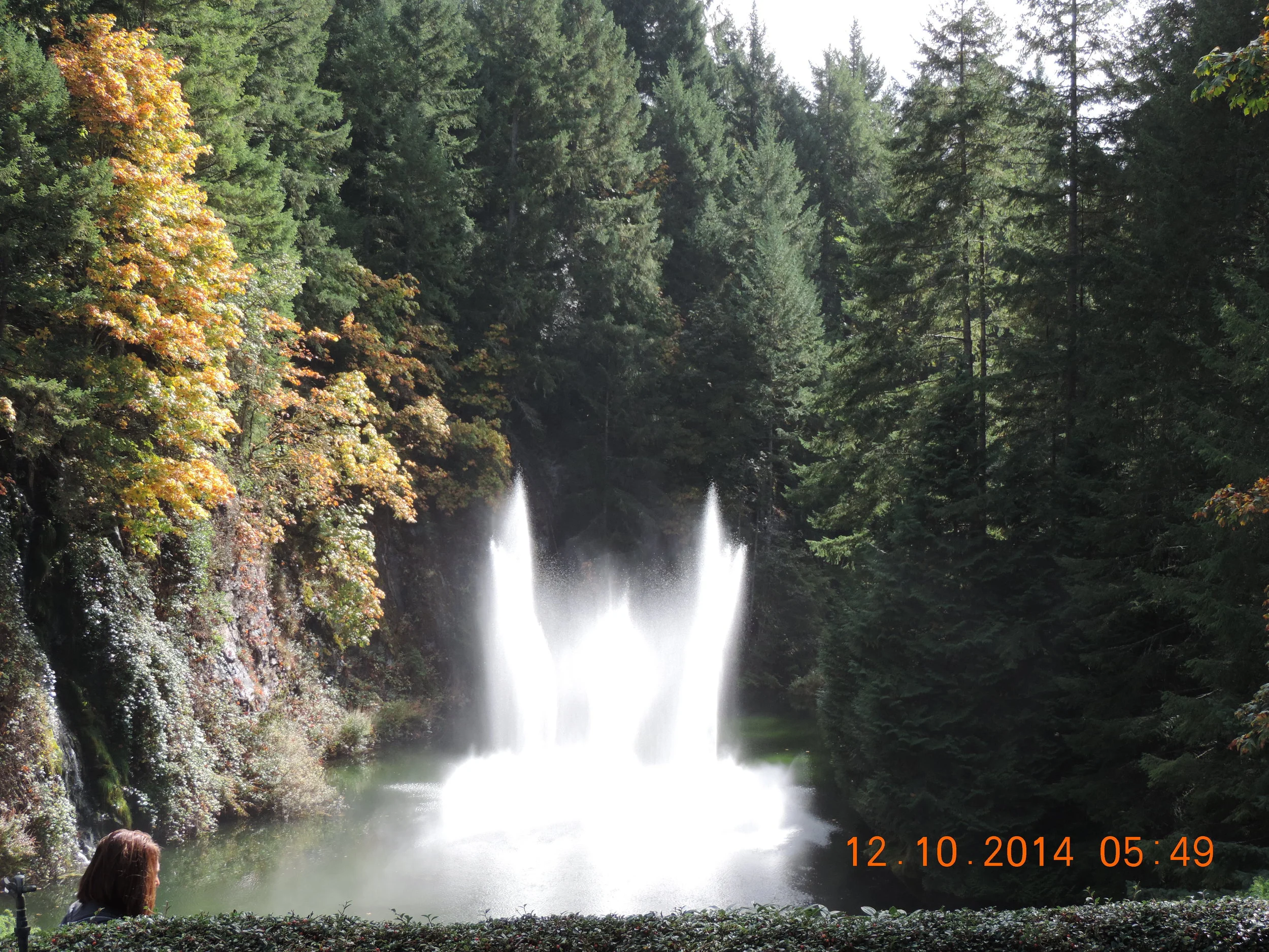 DSCN3384.JPG