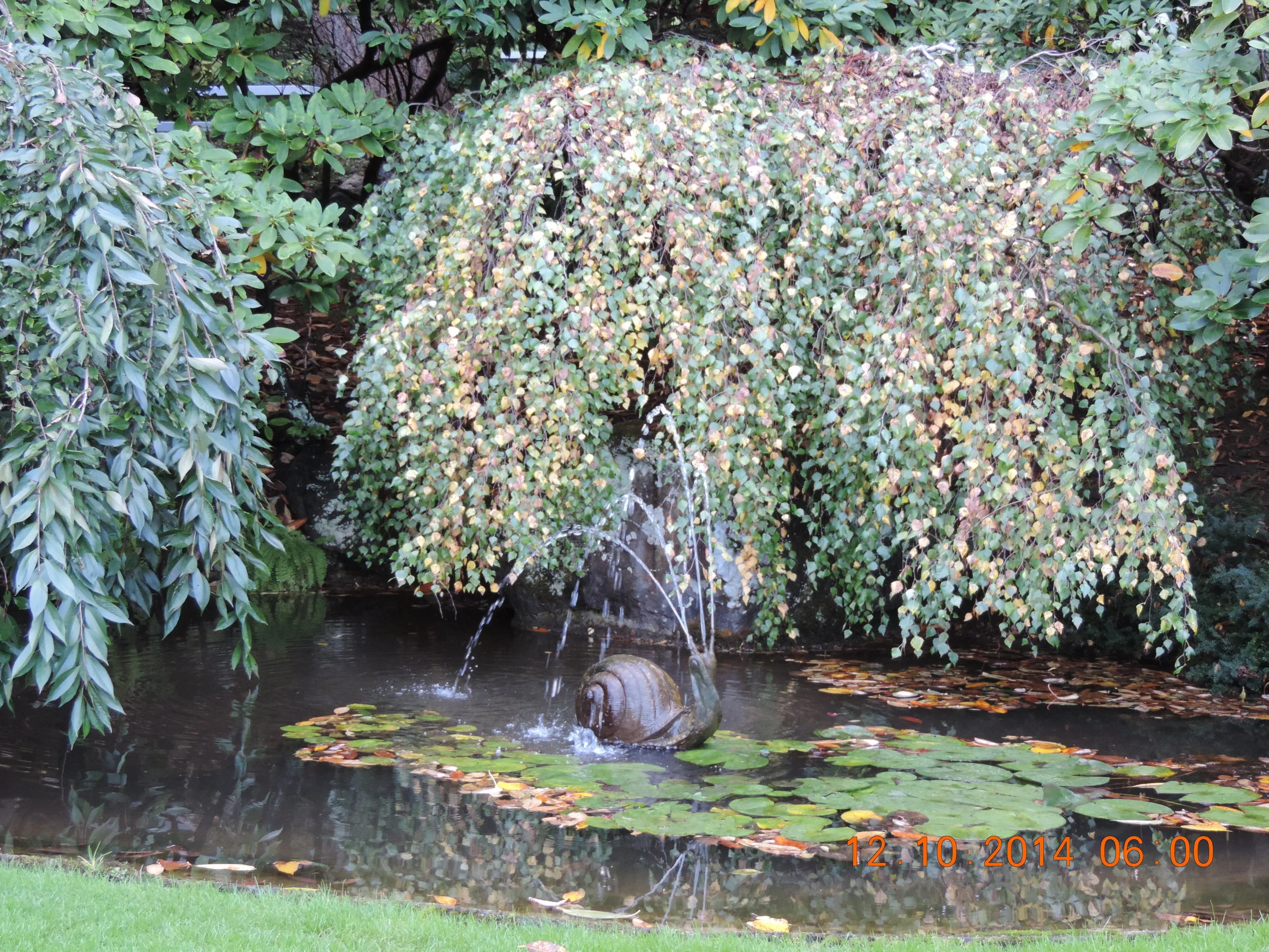 DSCN3408.JPG