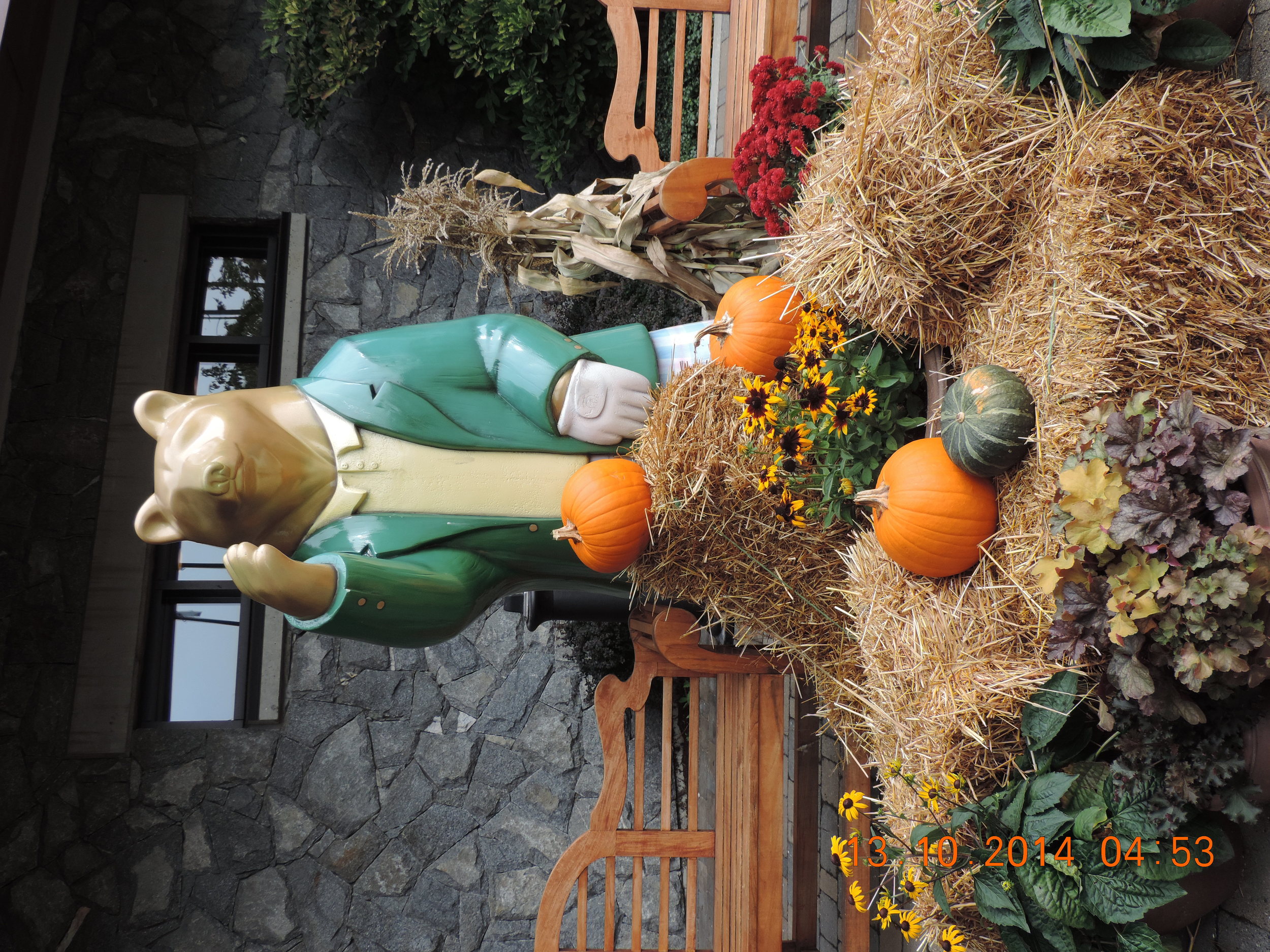 DSCN3440.JPG