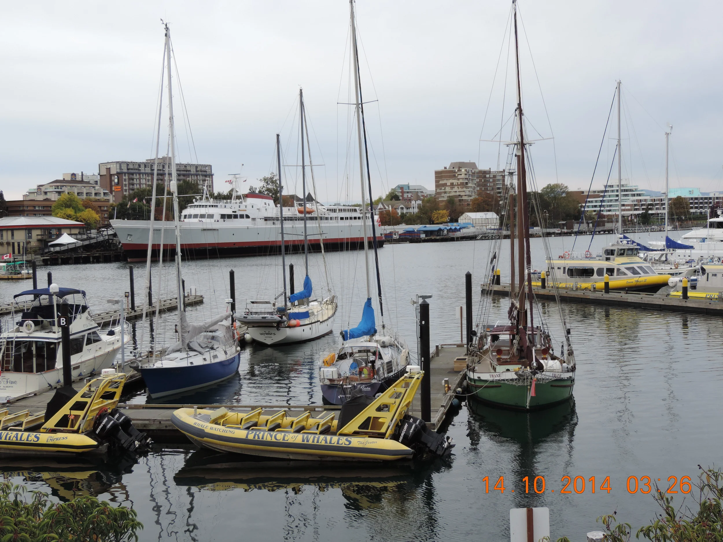 DSCN3484.JPG