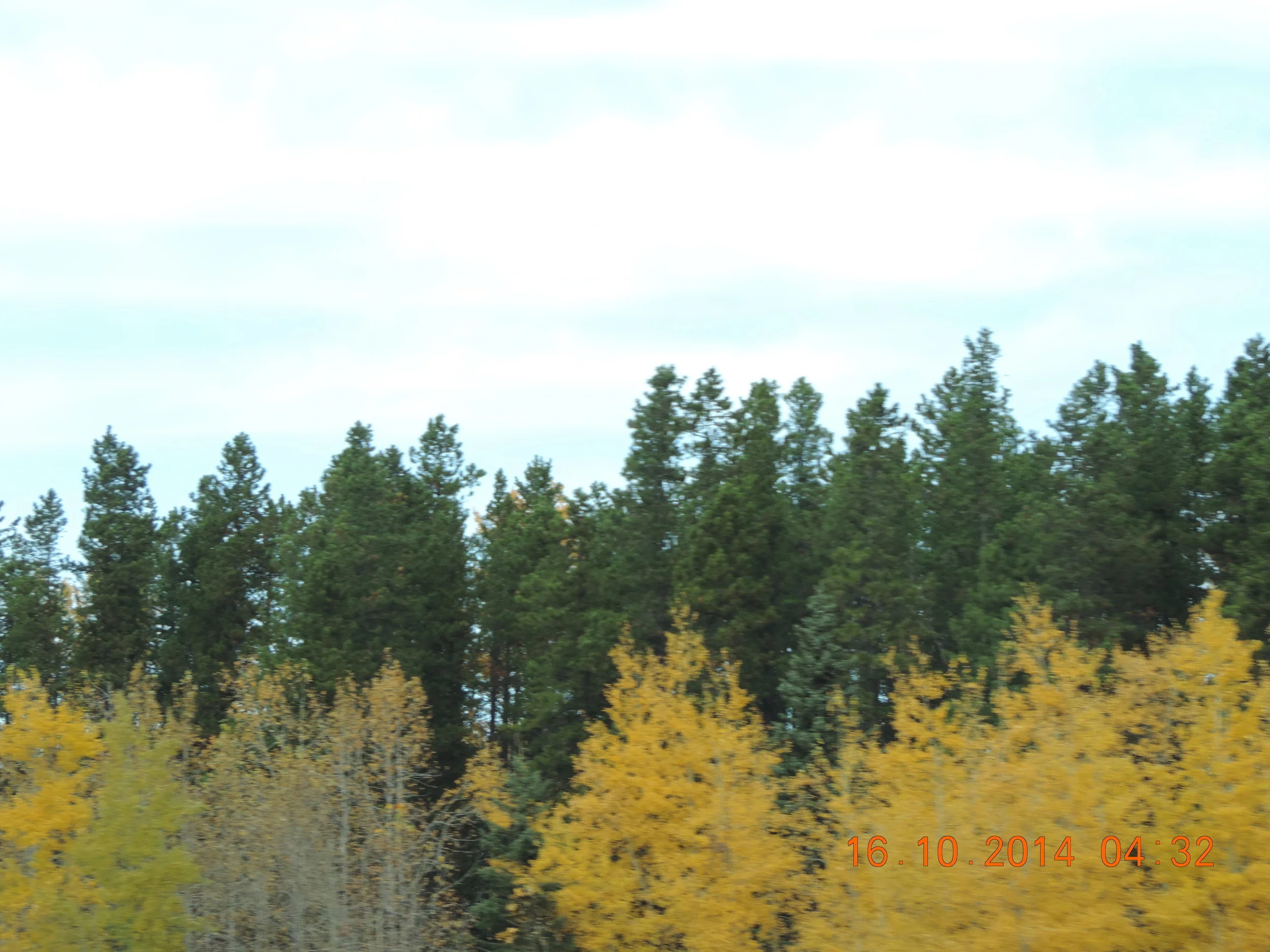 DSCN3579.JPG