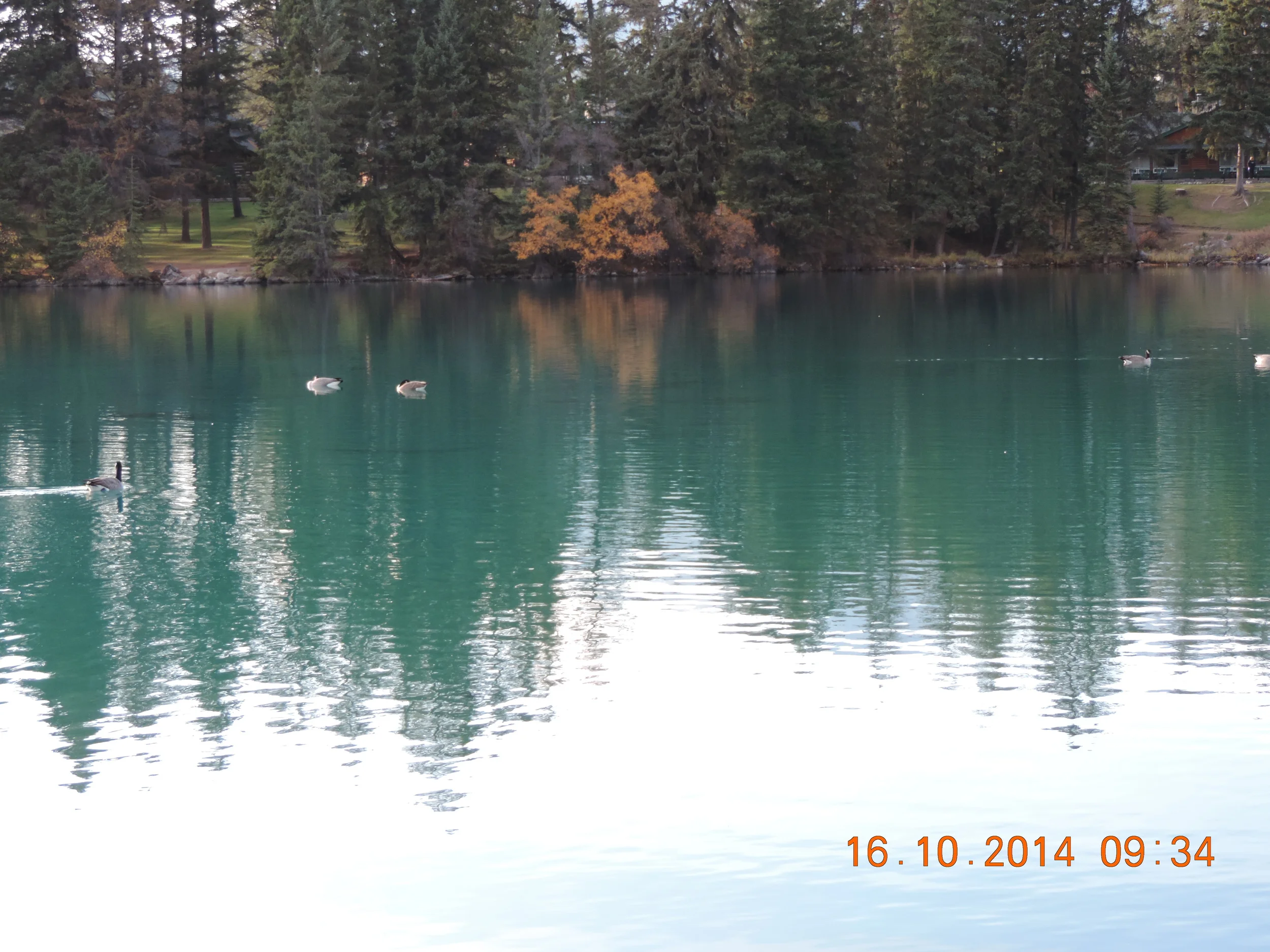 DSCN3798.JPG