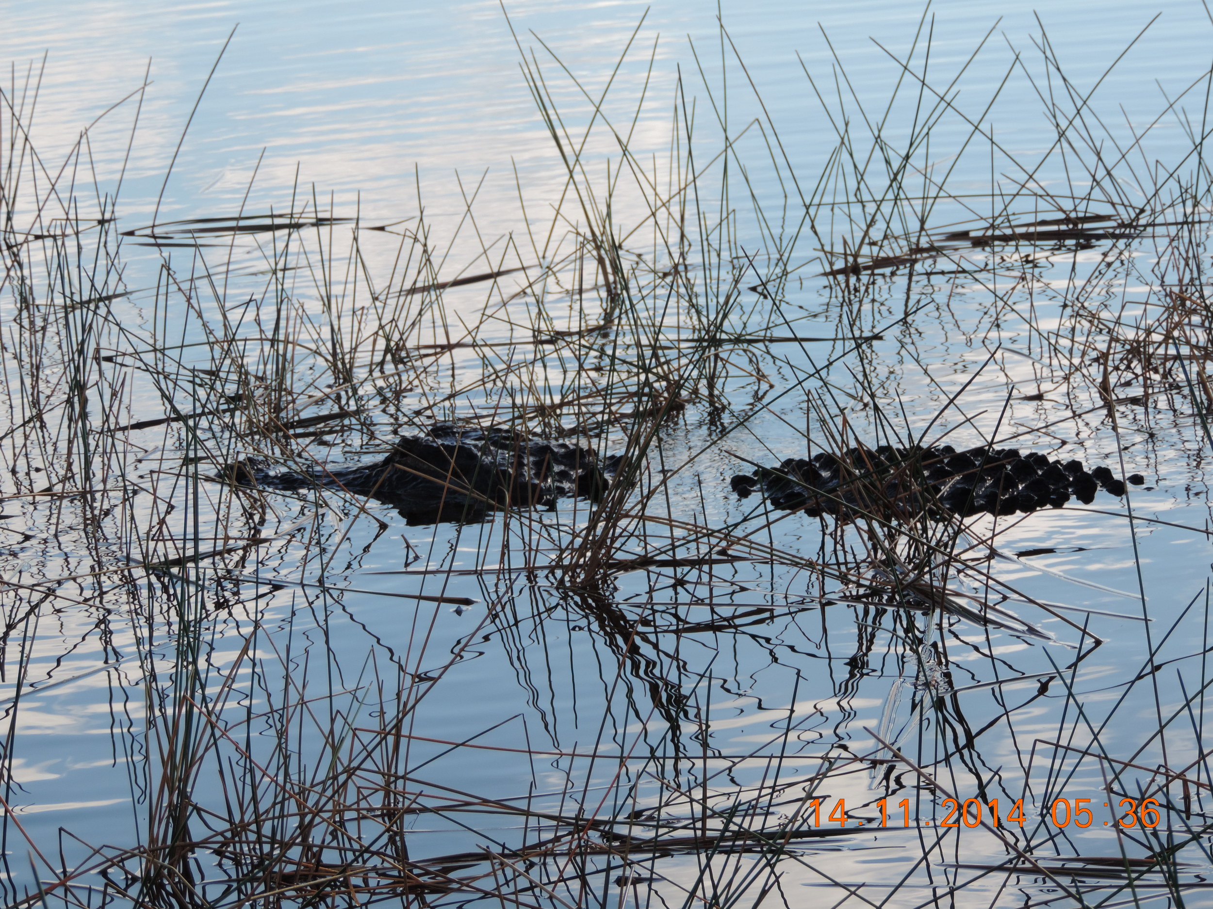 DSCN5855.JPG
