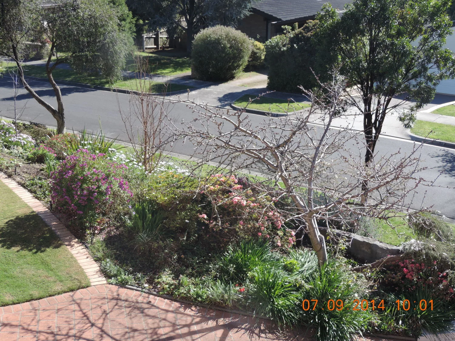 Spring in Victoria