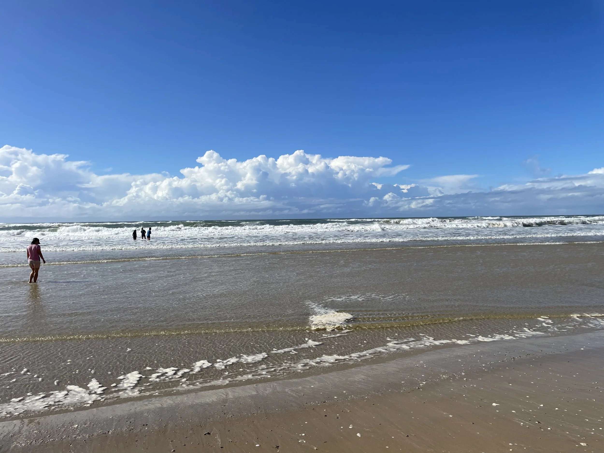 31FF3992-0236-4CB6-AB7D-66401E37A581.jpeg