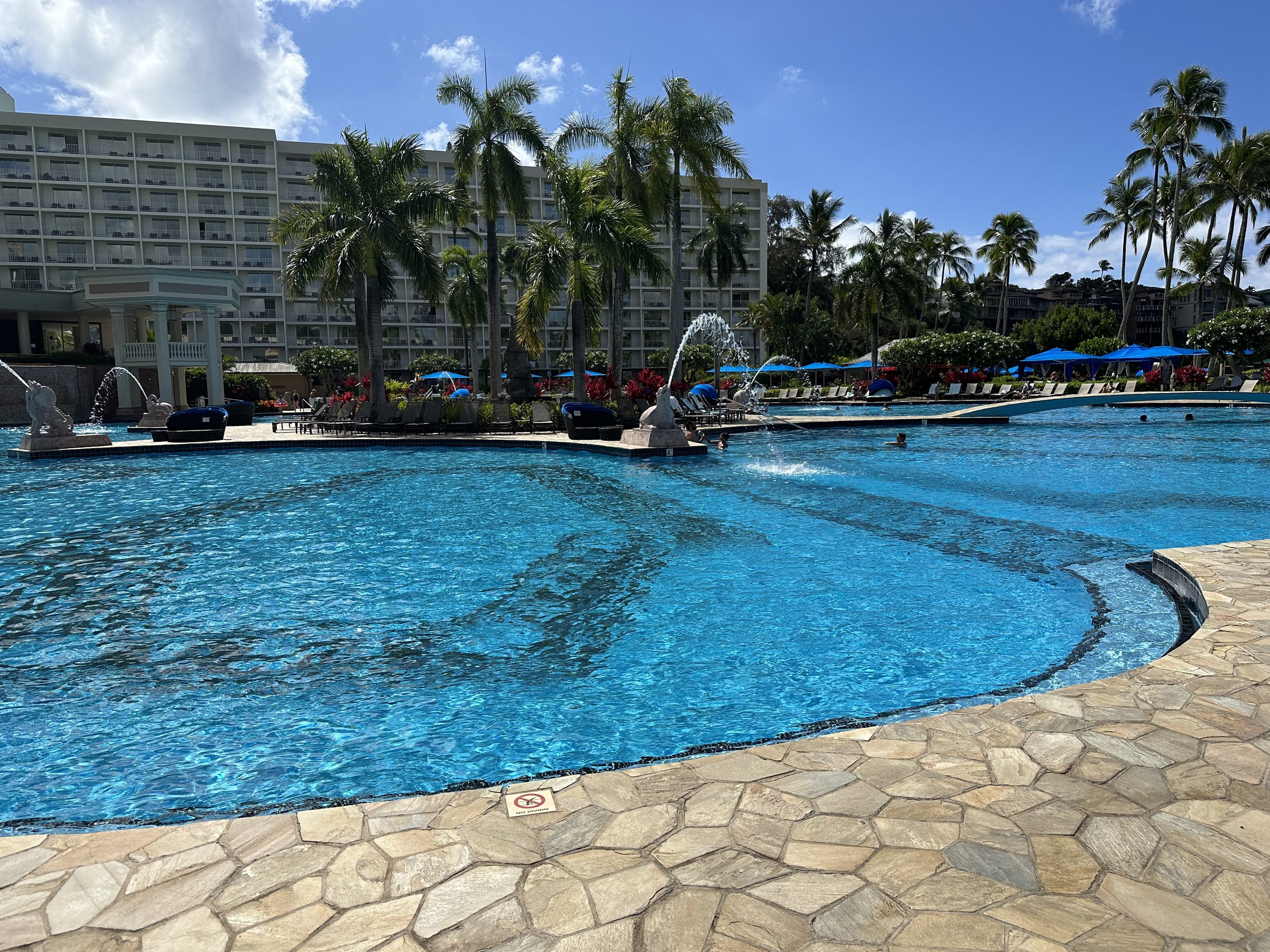 IMG_7638.jpeg