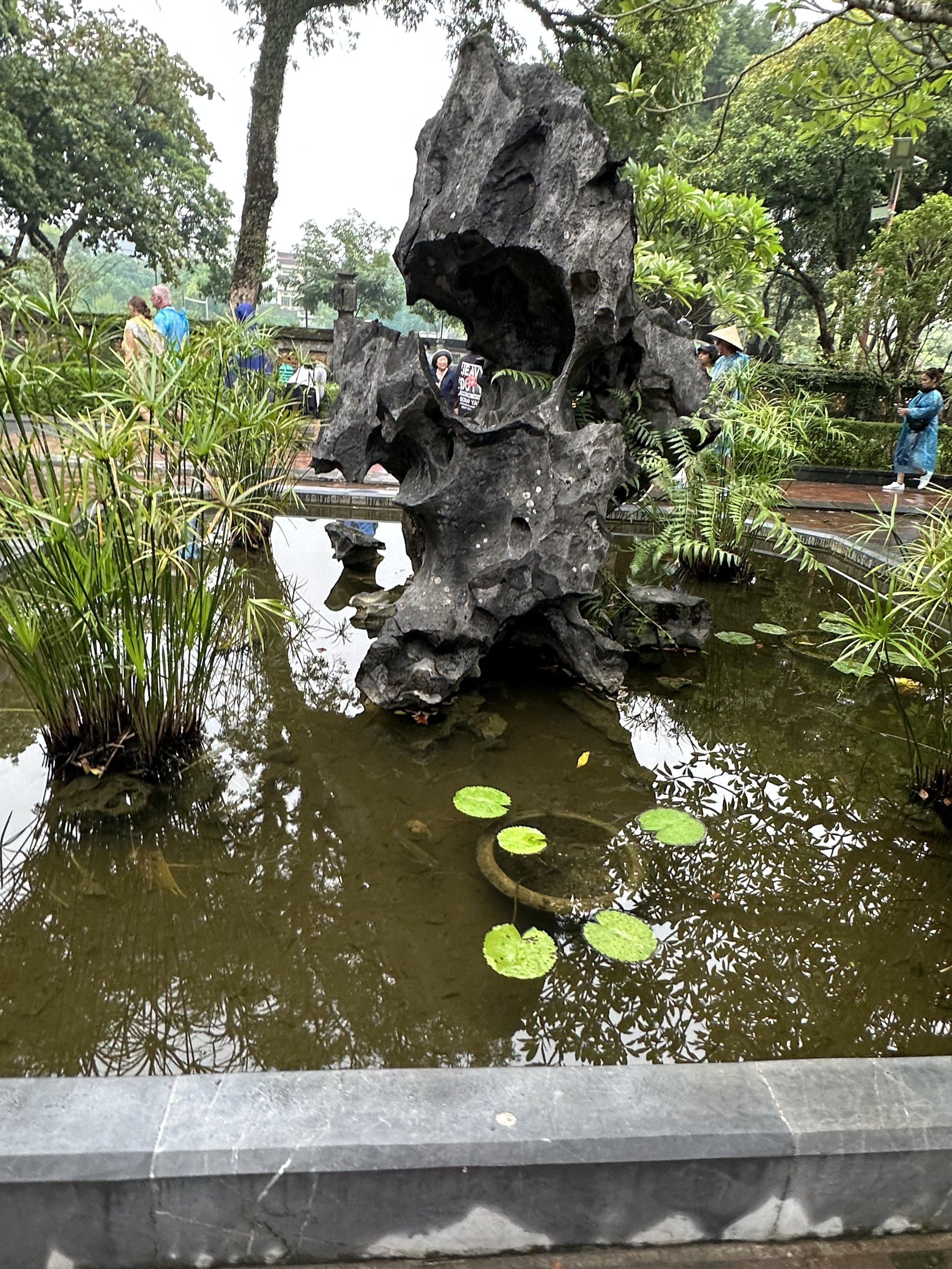 IMG_9667.jpeg