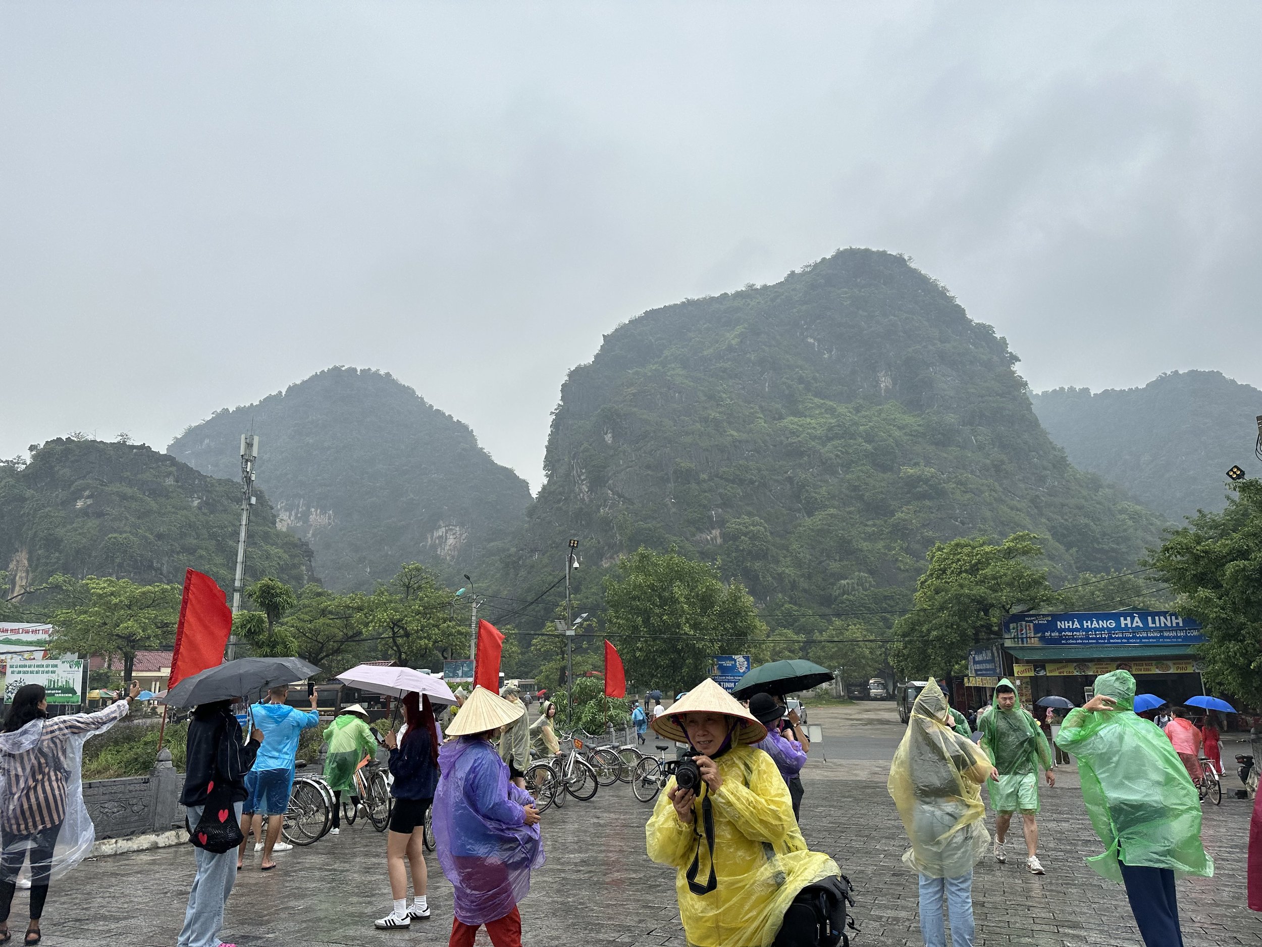 IMG_9608.jpeg