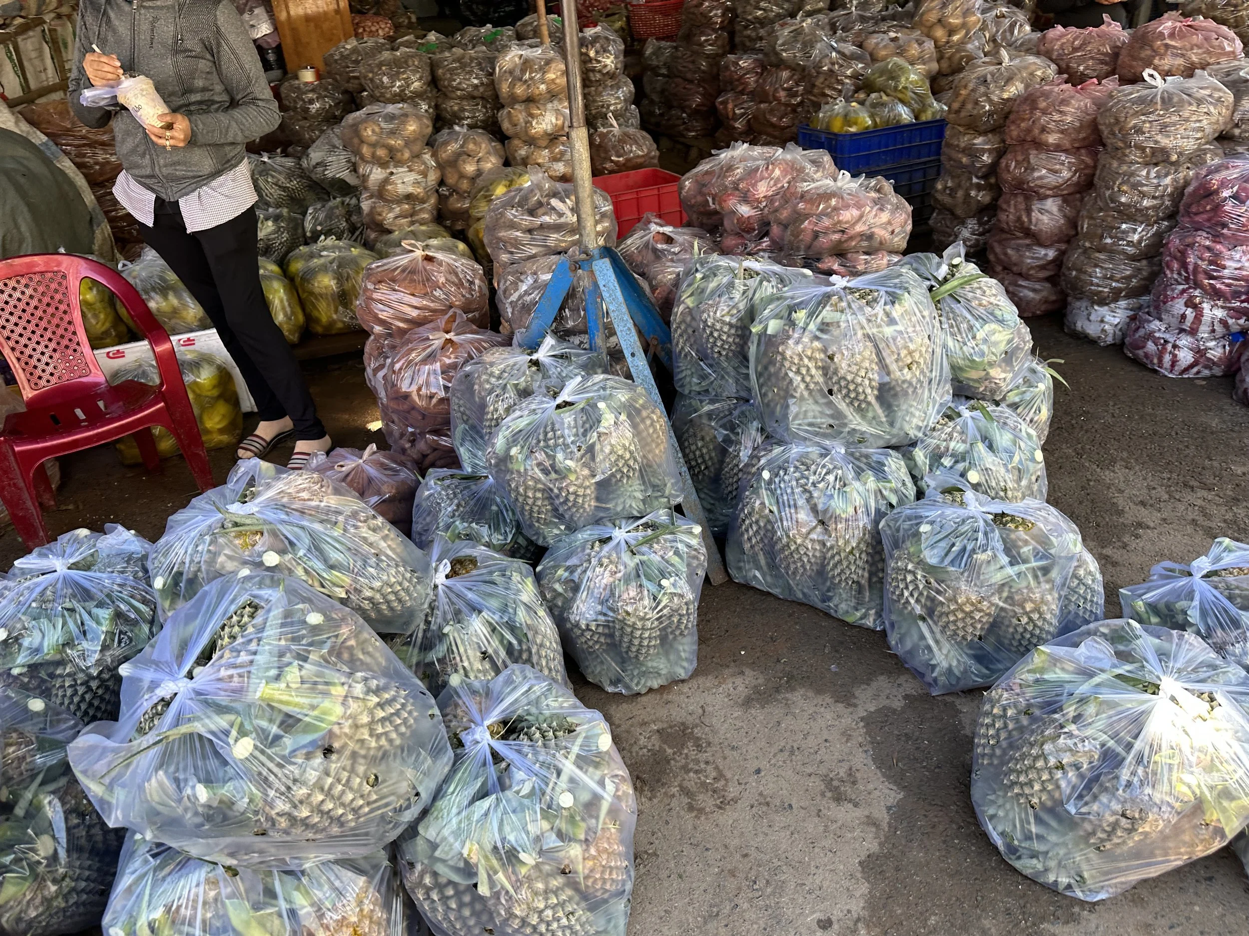 IMG_2084.jpeg