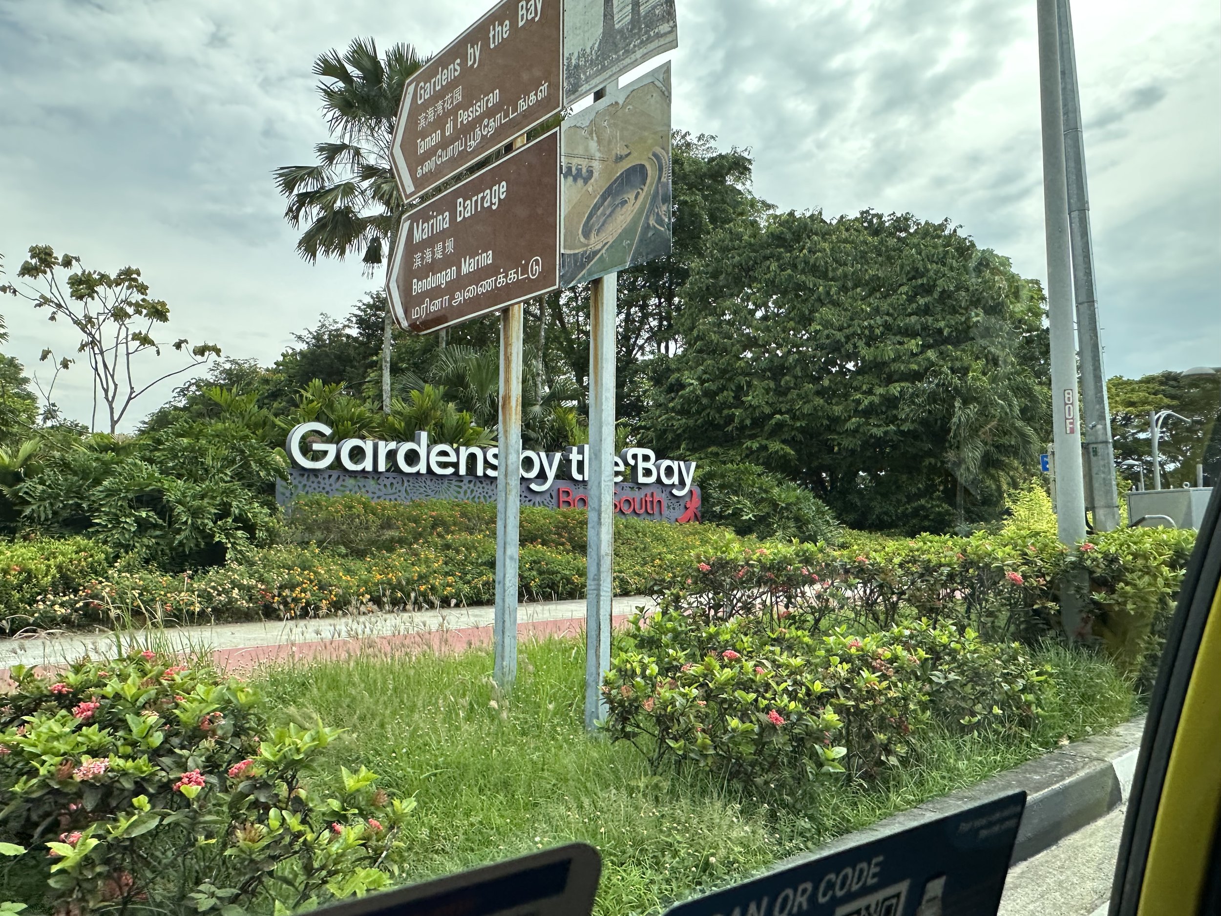 IMG_4254.jpeg