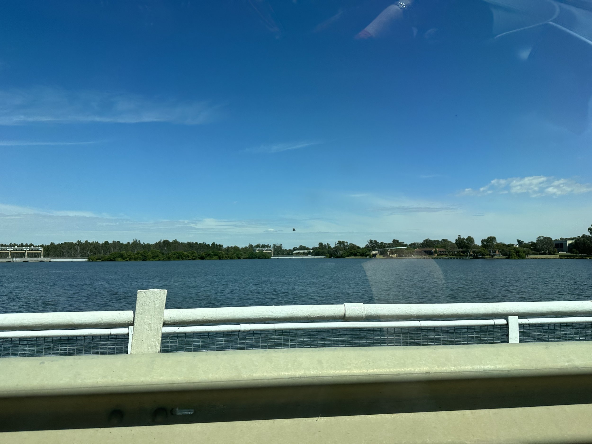 IMG_4791.jpeg