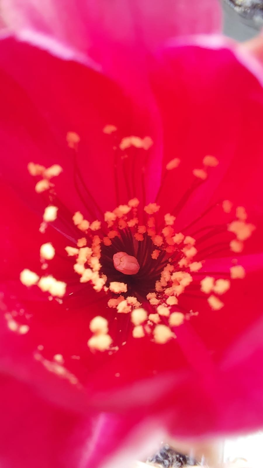 4054d22c-1ff6-4ca1-a667-f830ed52afa1.jpeg