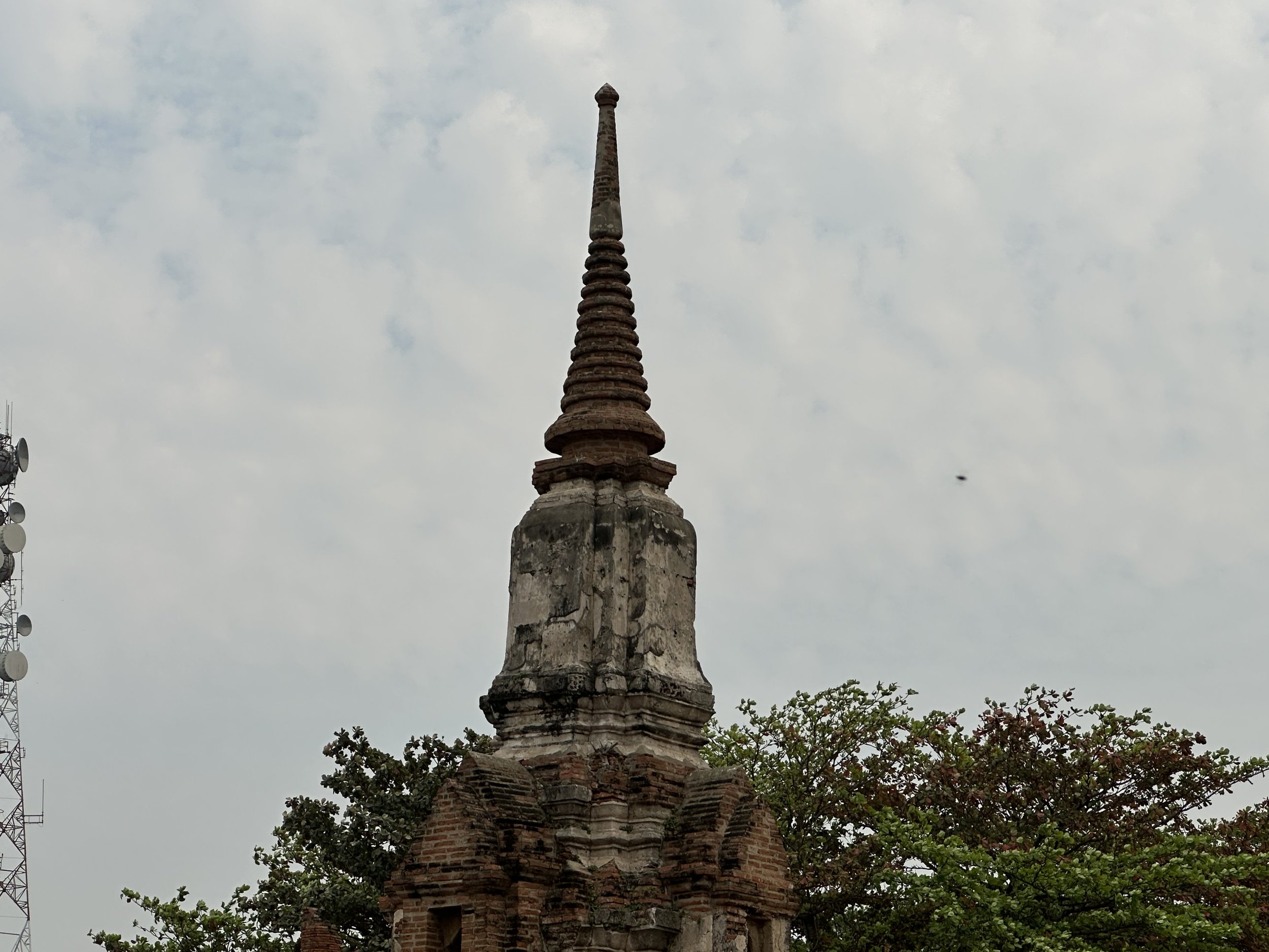 IMG_8369.jpeg