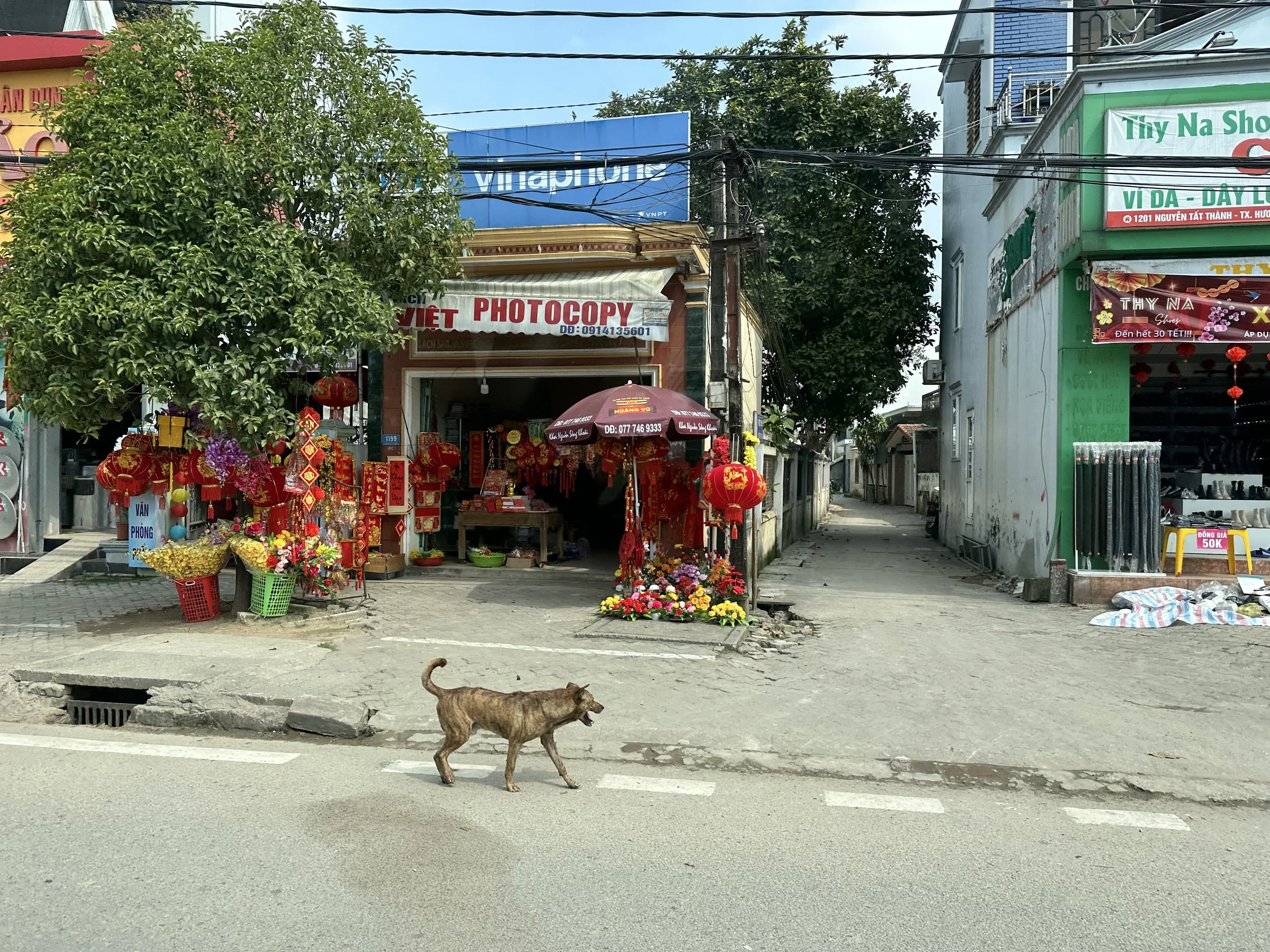 IMG_6630.jpeg