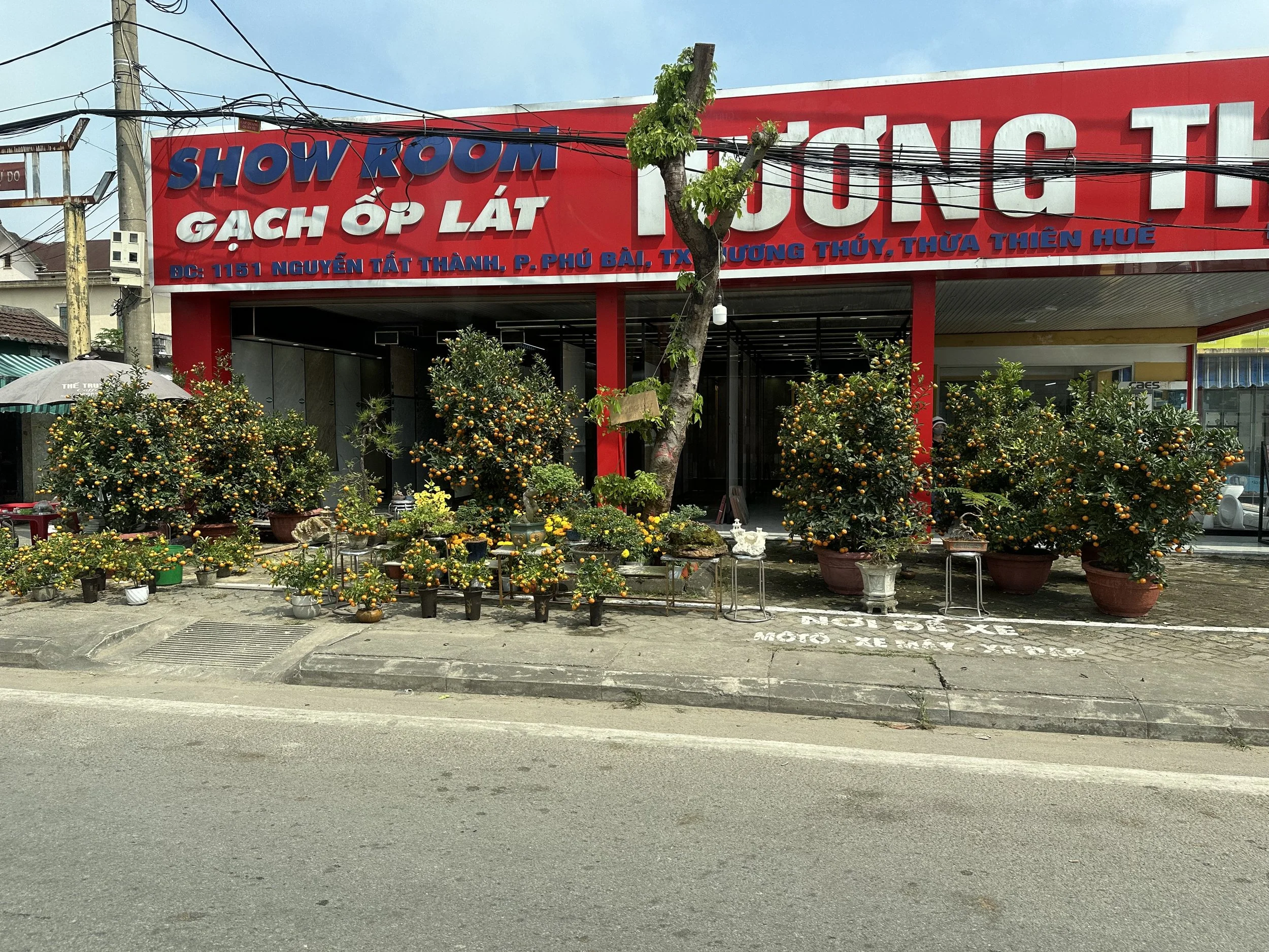 IMG_6635.jpeg