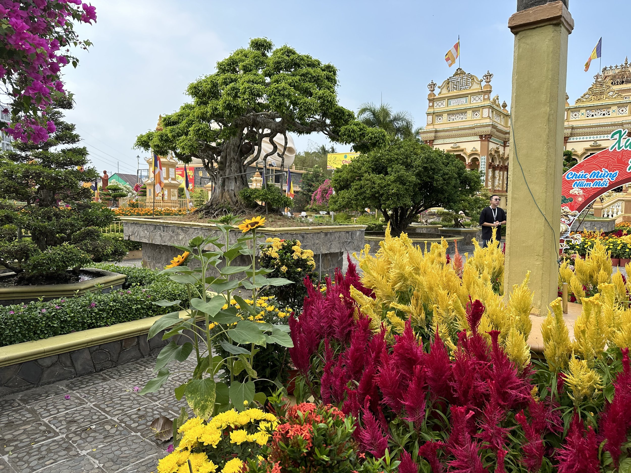 IMG_7207.jpeg