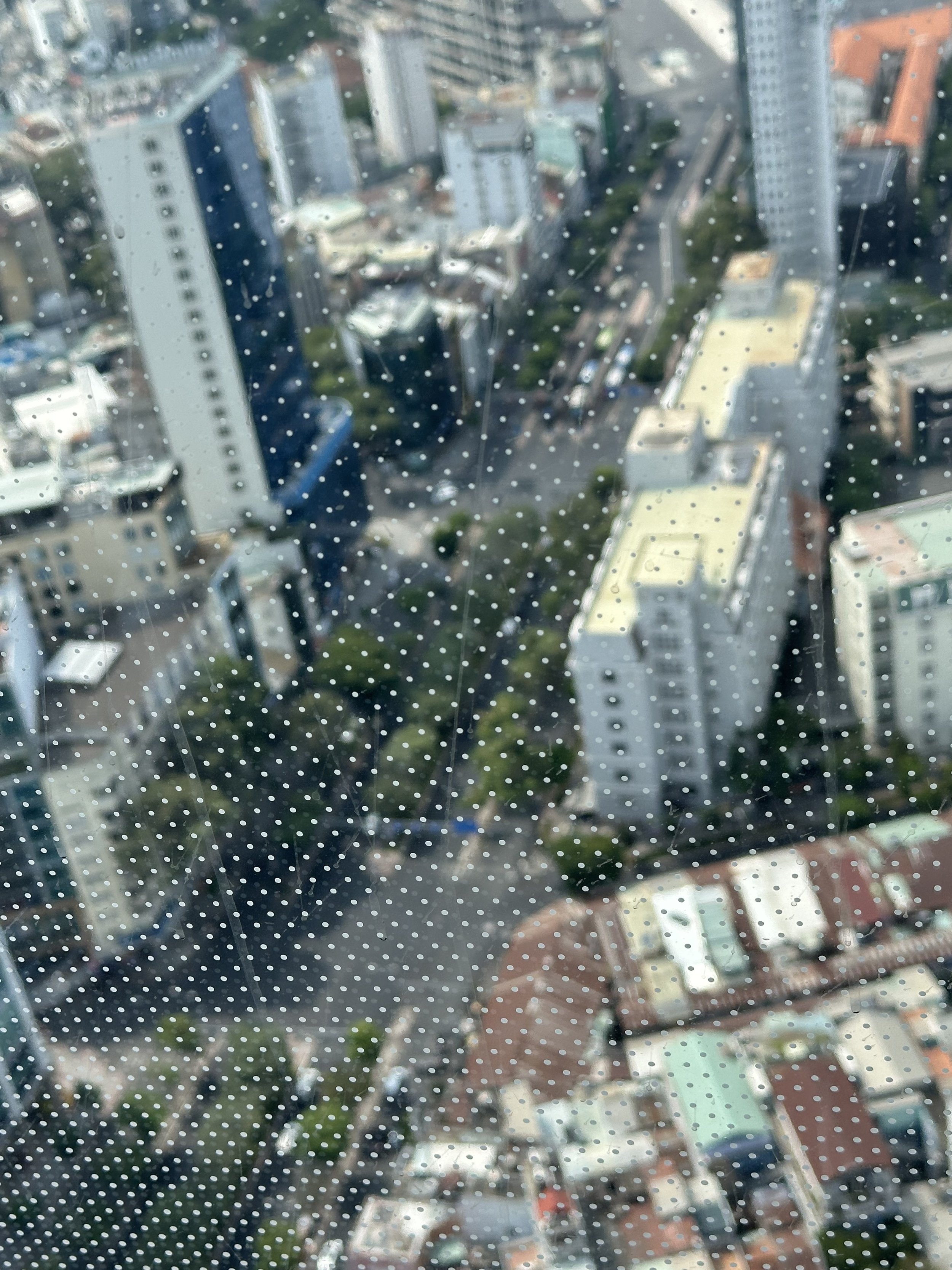 IMG_7913.jpeg