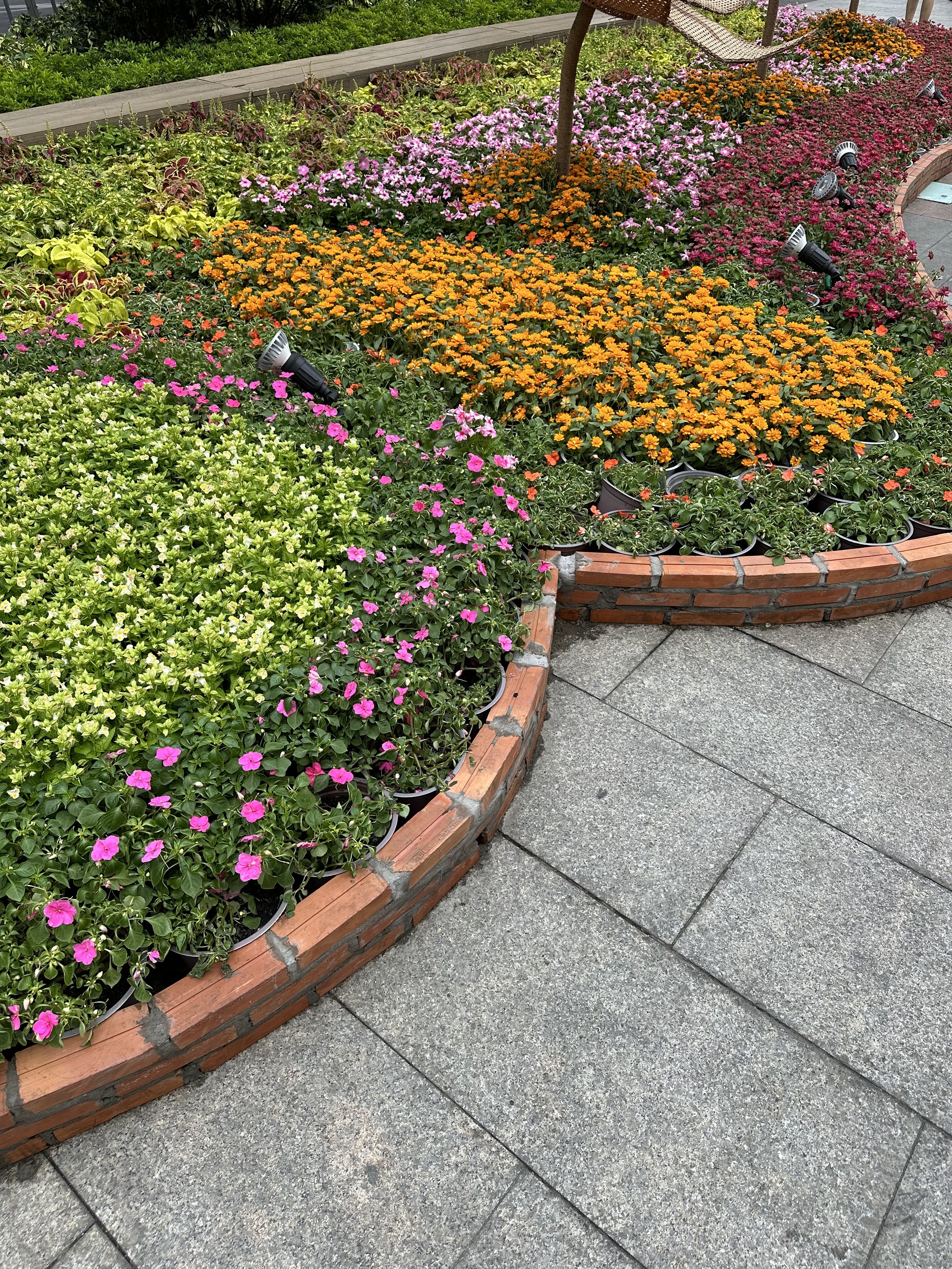 IMG_7993.jpeg