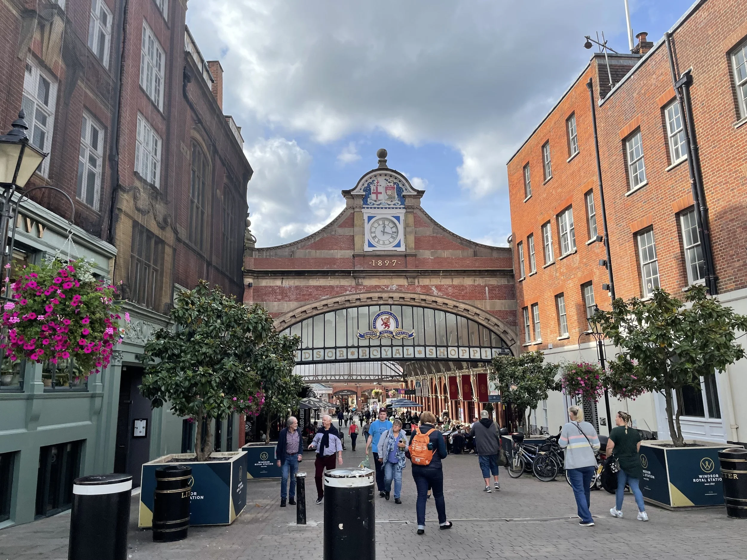 IMG_8508.jpeg