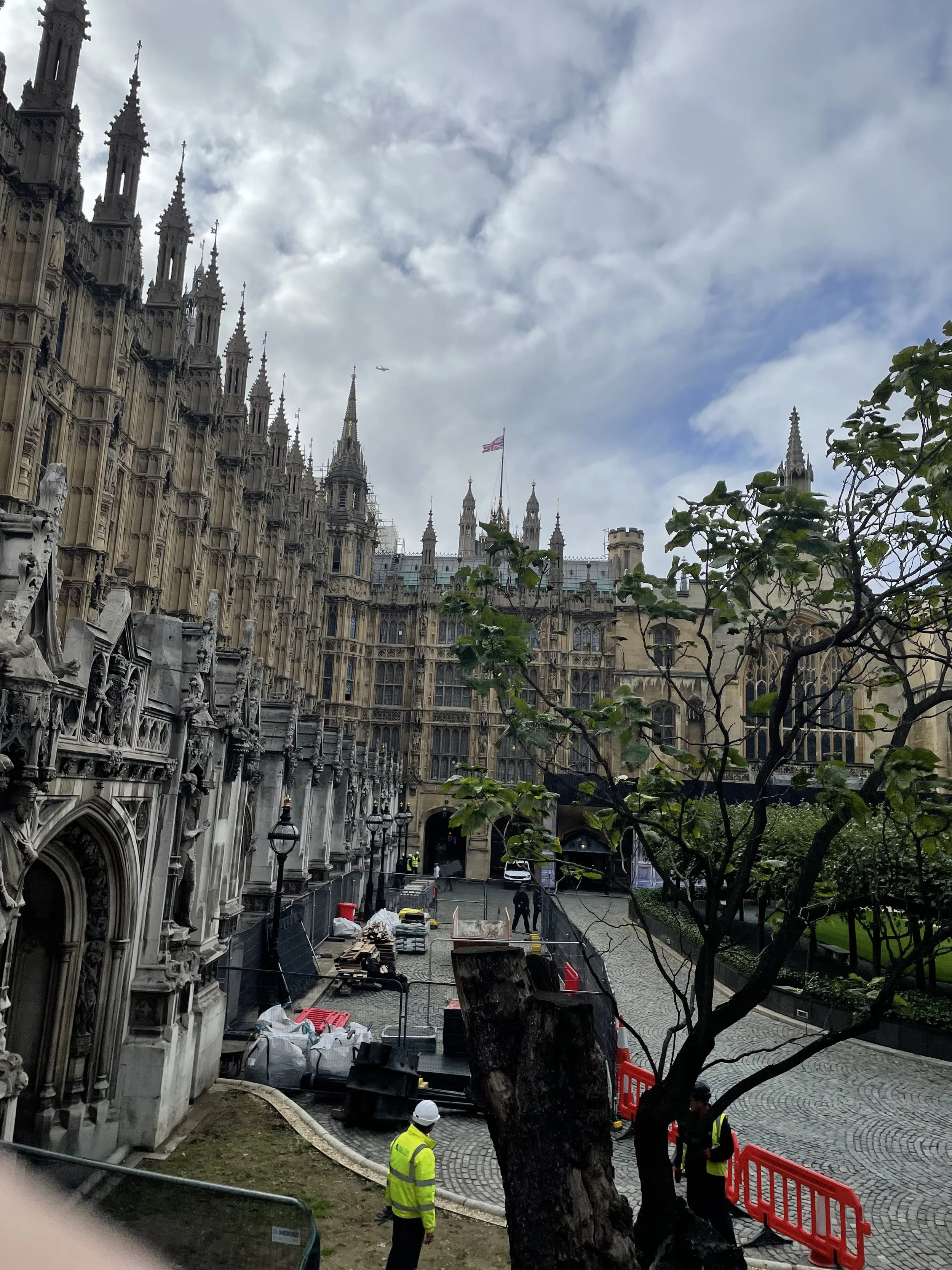 IMG_9395.jpeg