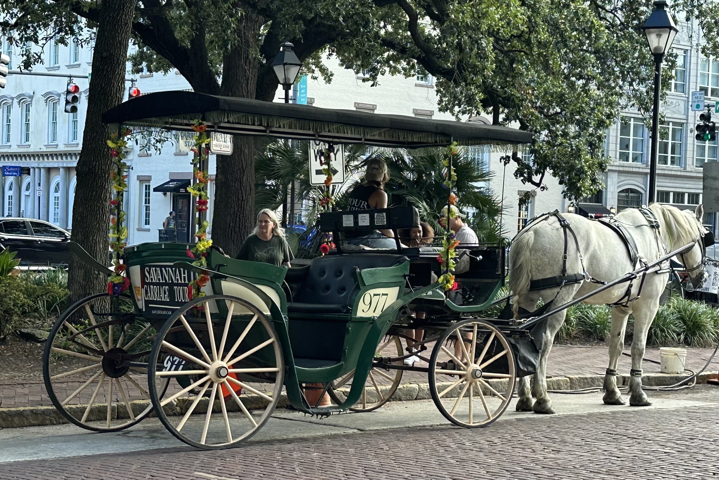 IMG_1008.jpeg