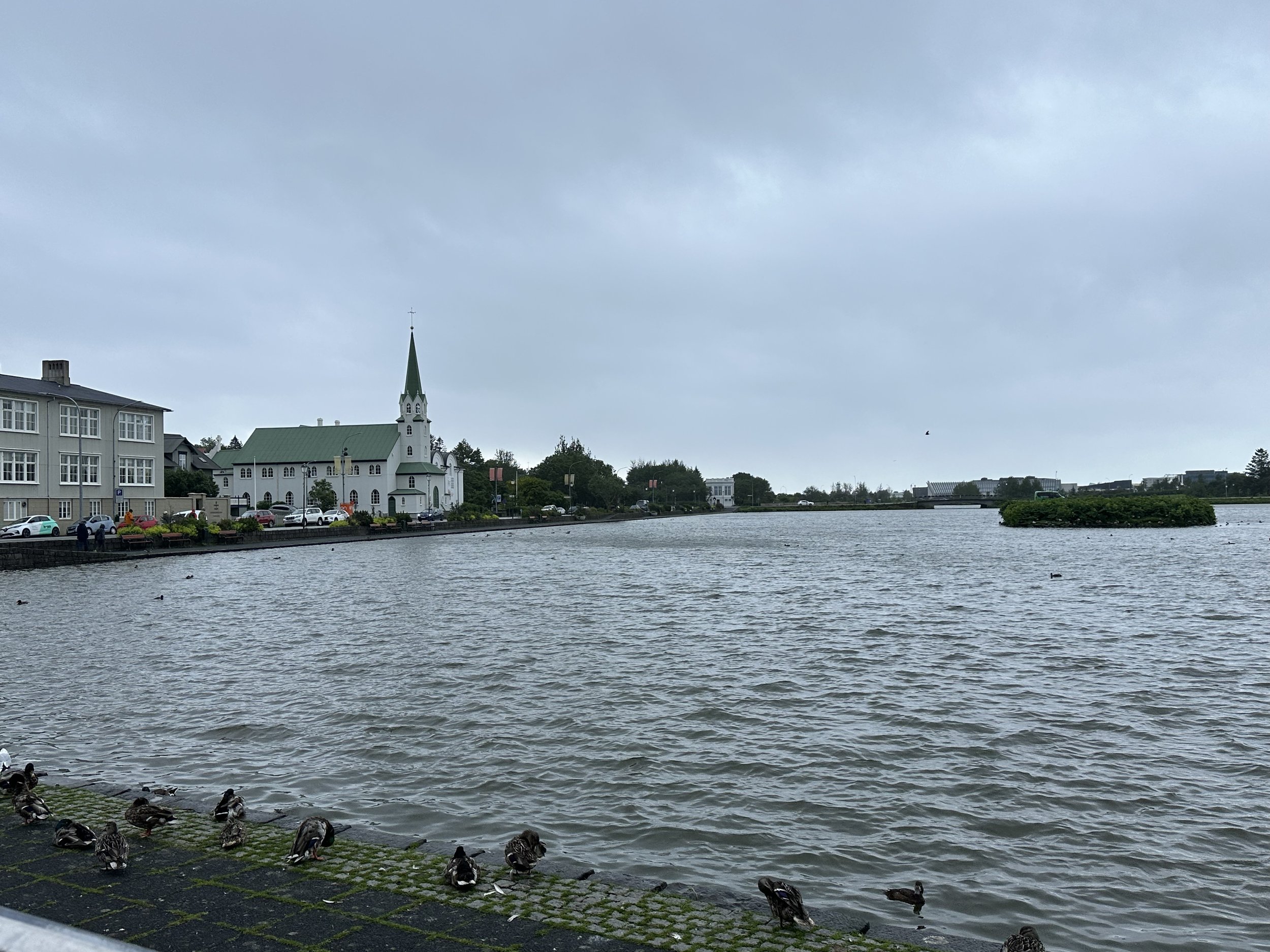 IMG_2111.jpeg