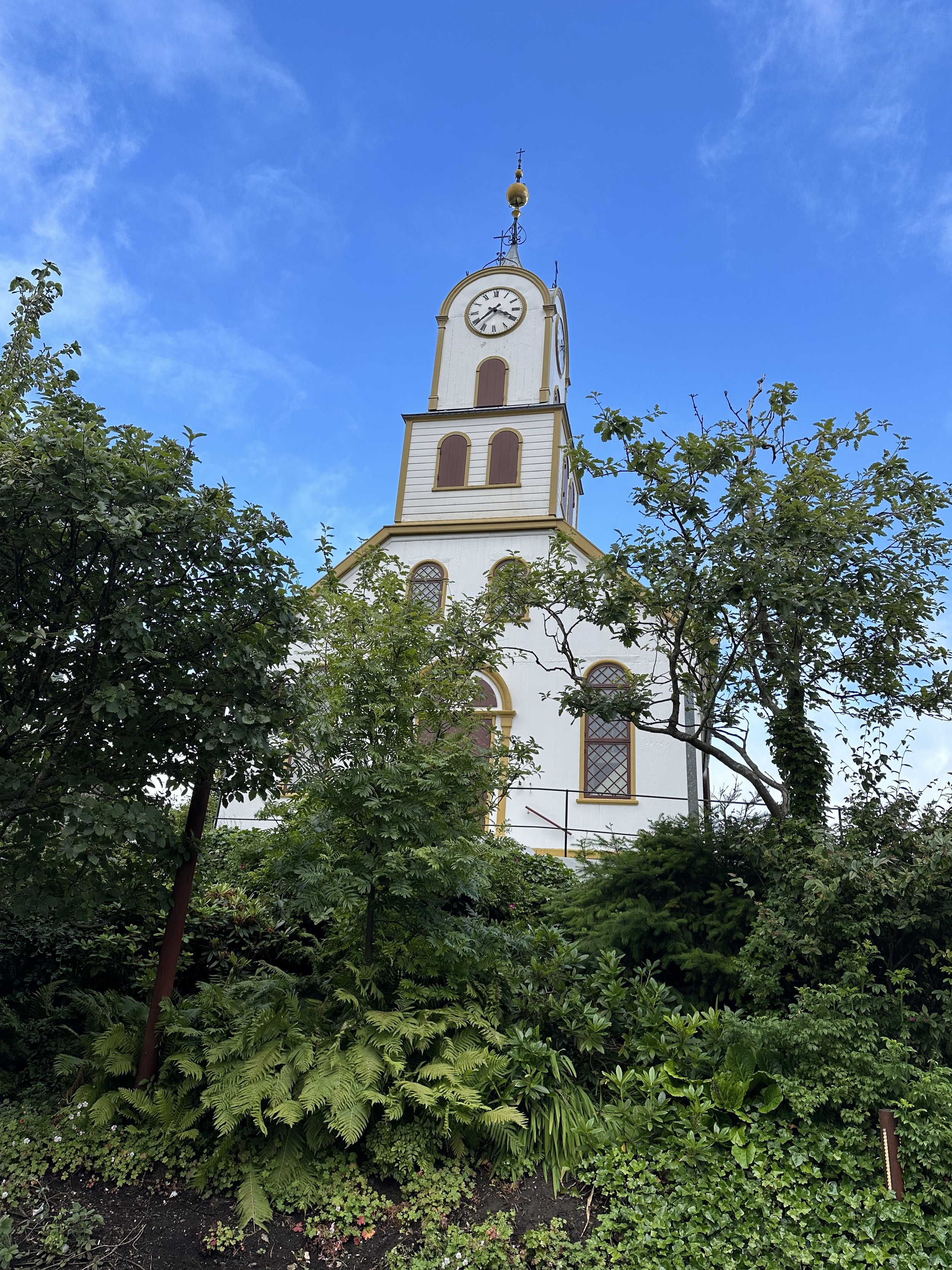 IMG_3711.jpeg