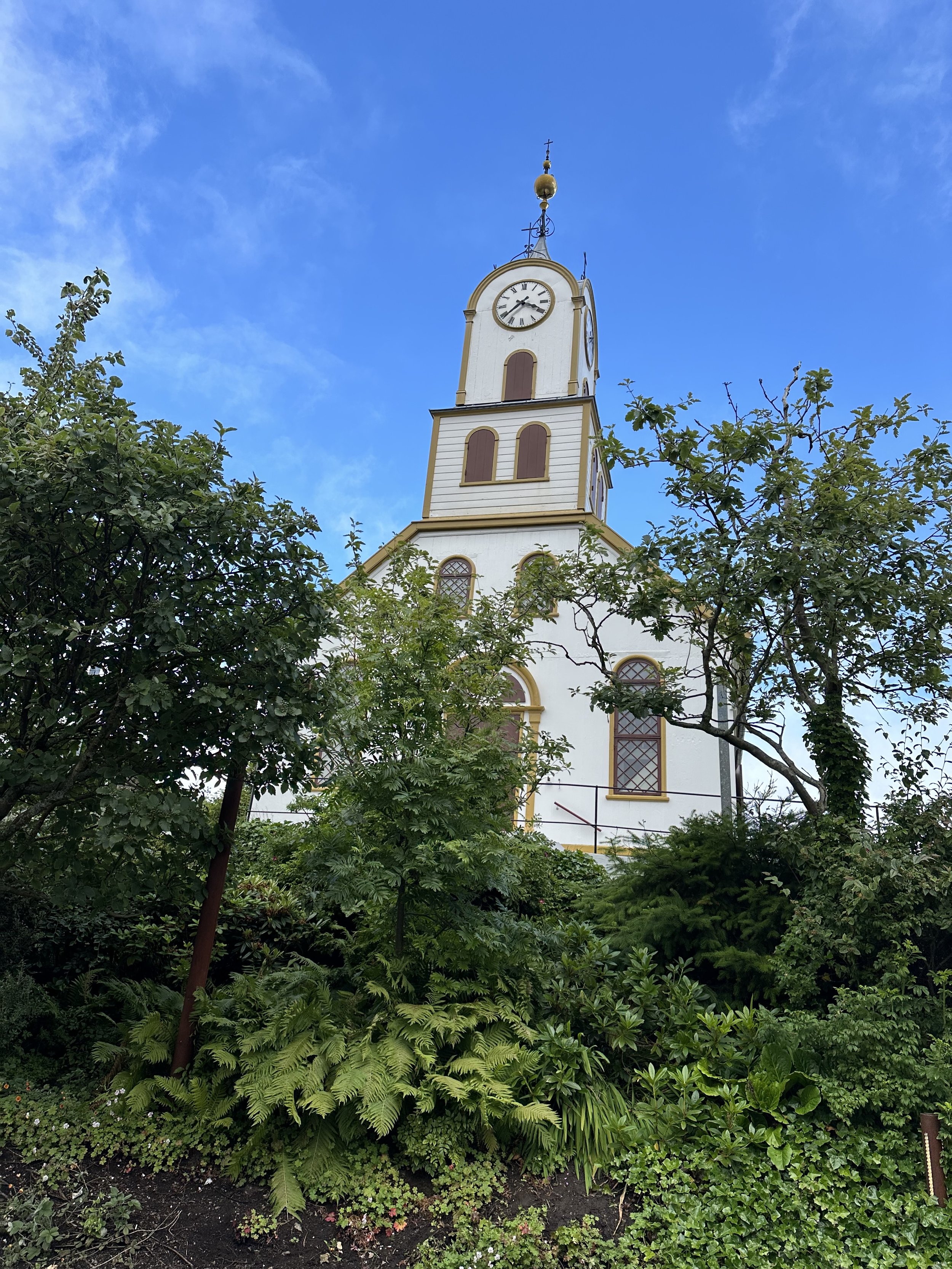 IMG_3710.jpeg