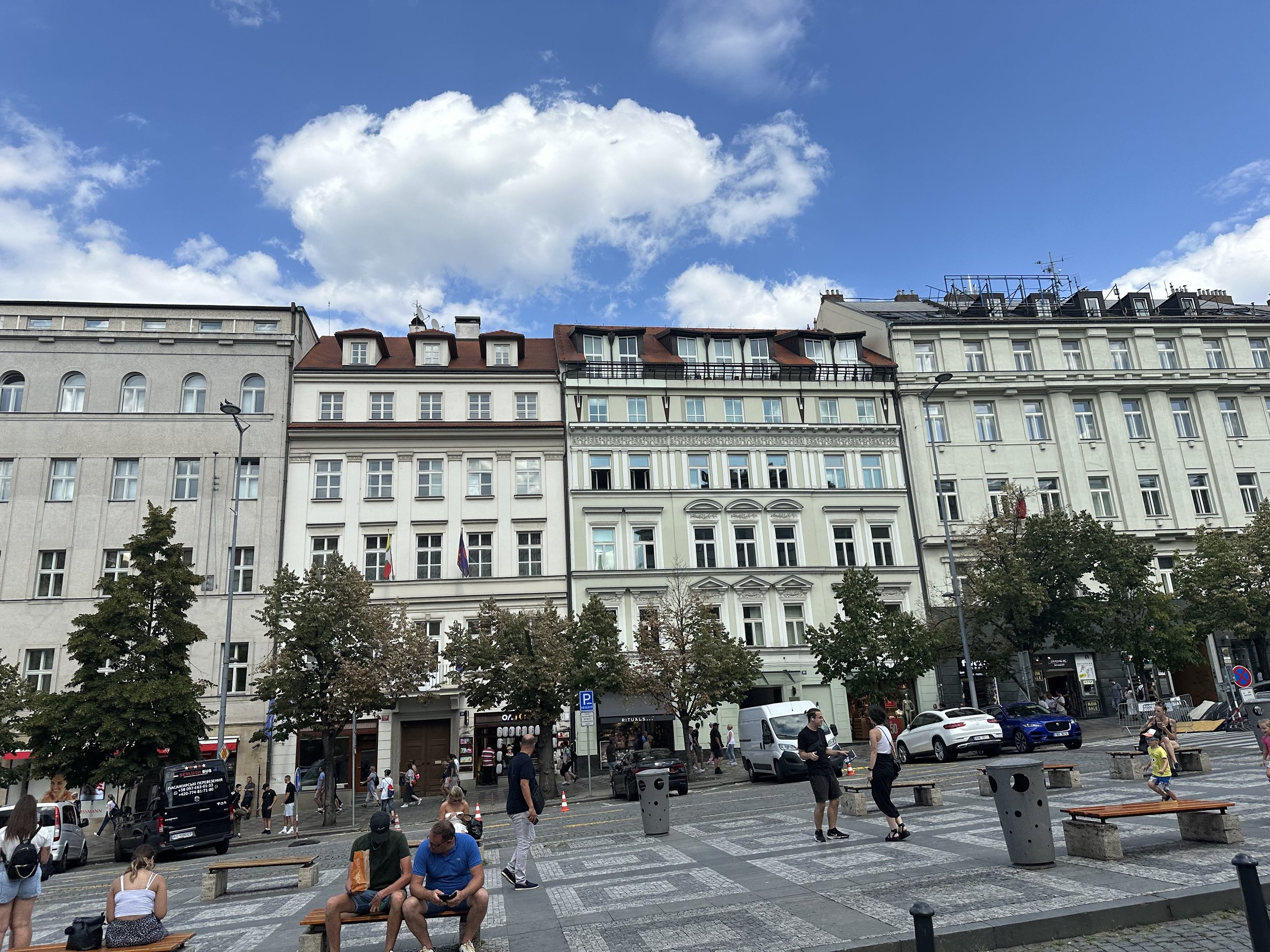 IMG_7535.jpeg