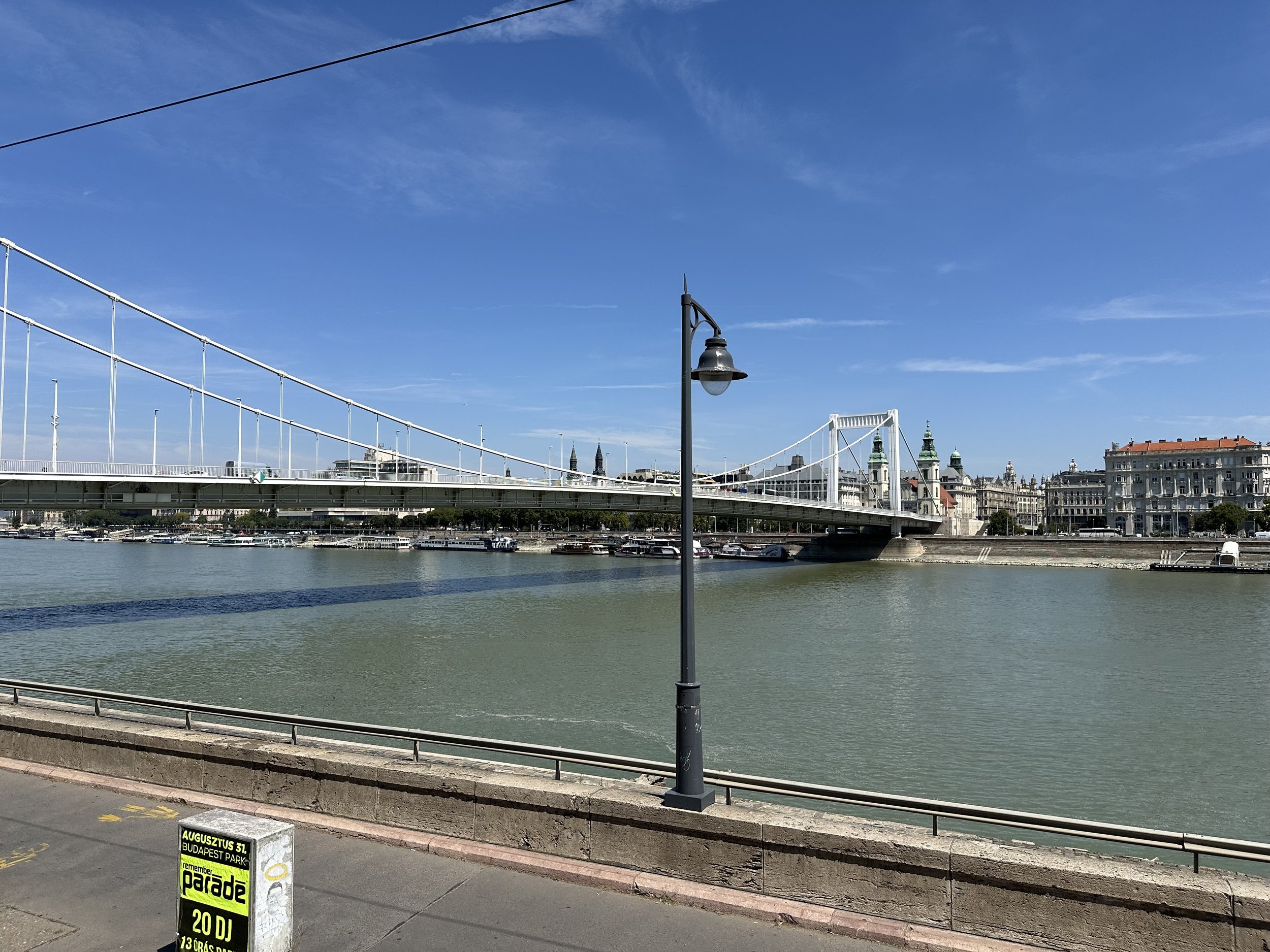 IMG_7019.jpeg